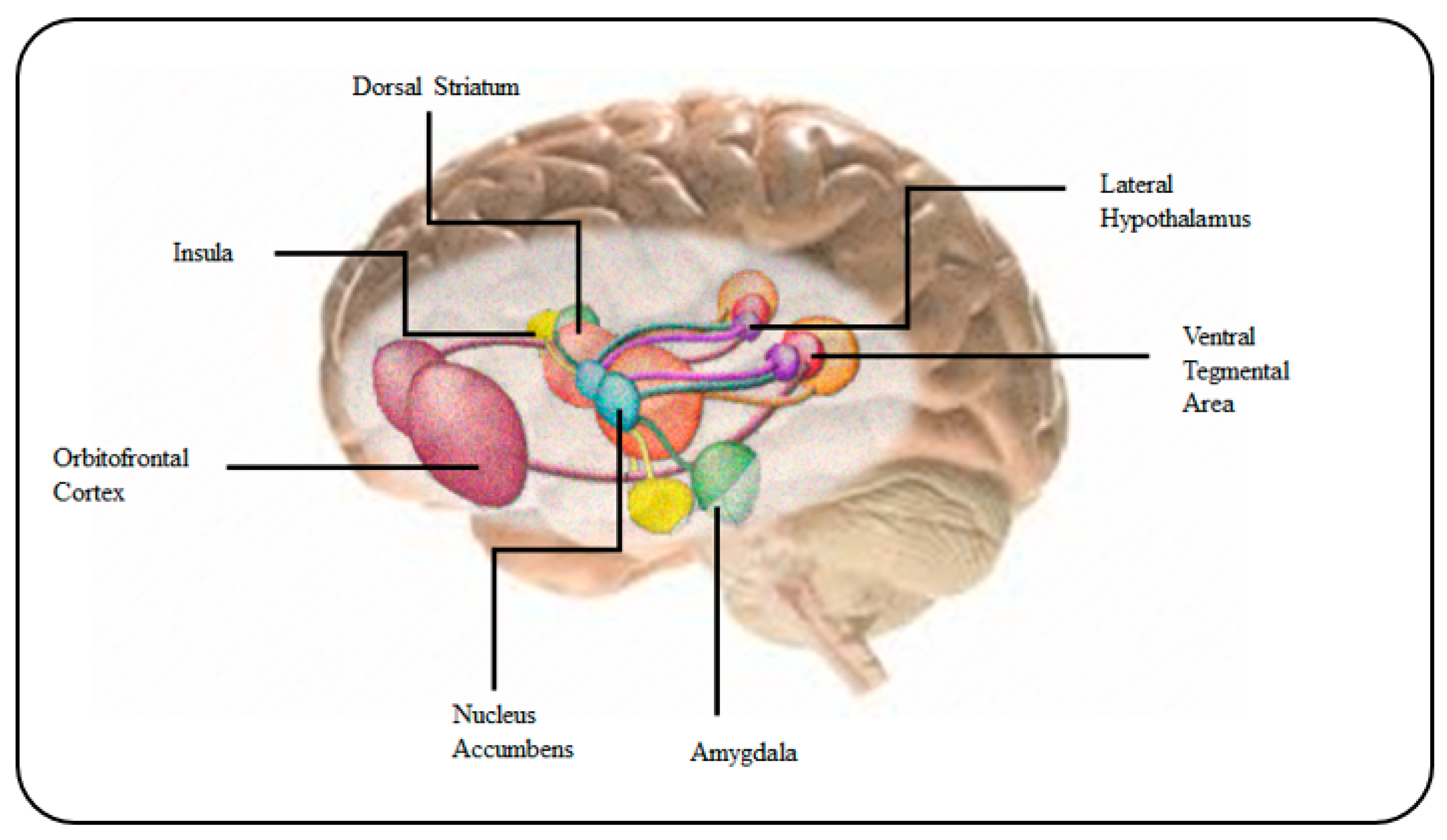 Biosensors 10 00121 g013