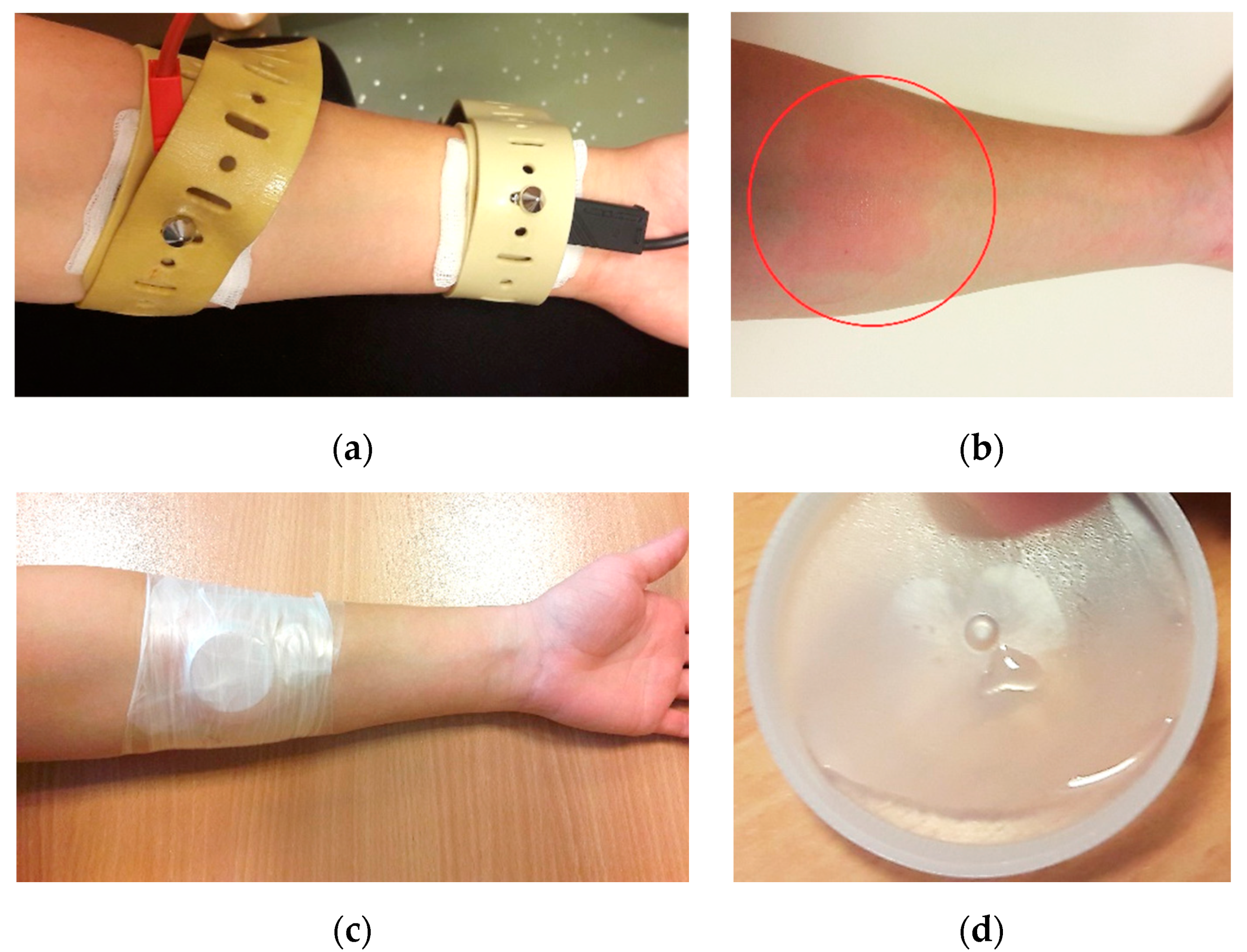 Biosensors 10 00123 g002