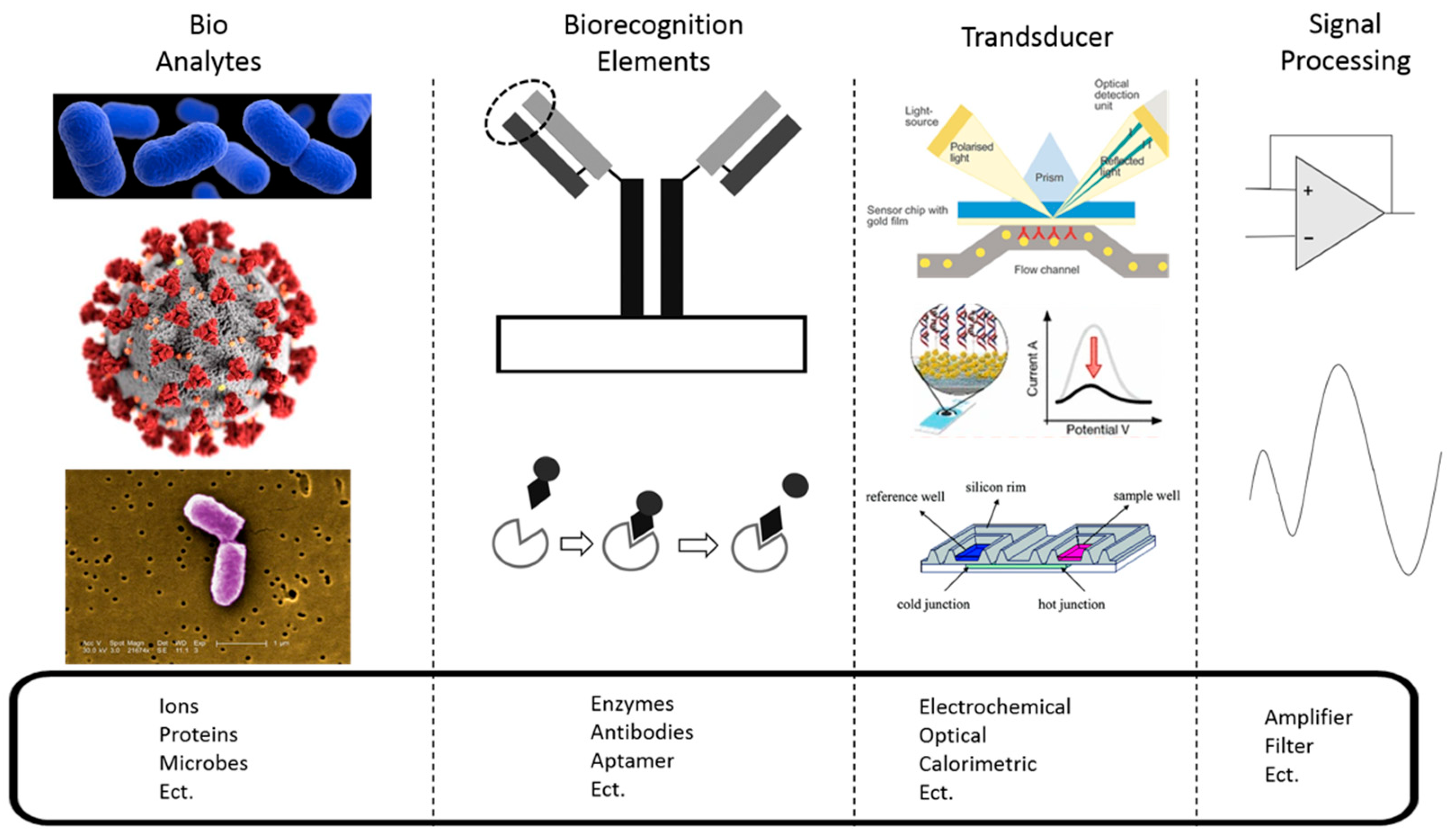 Biosensors 10 00127 g001