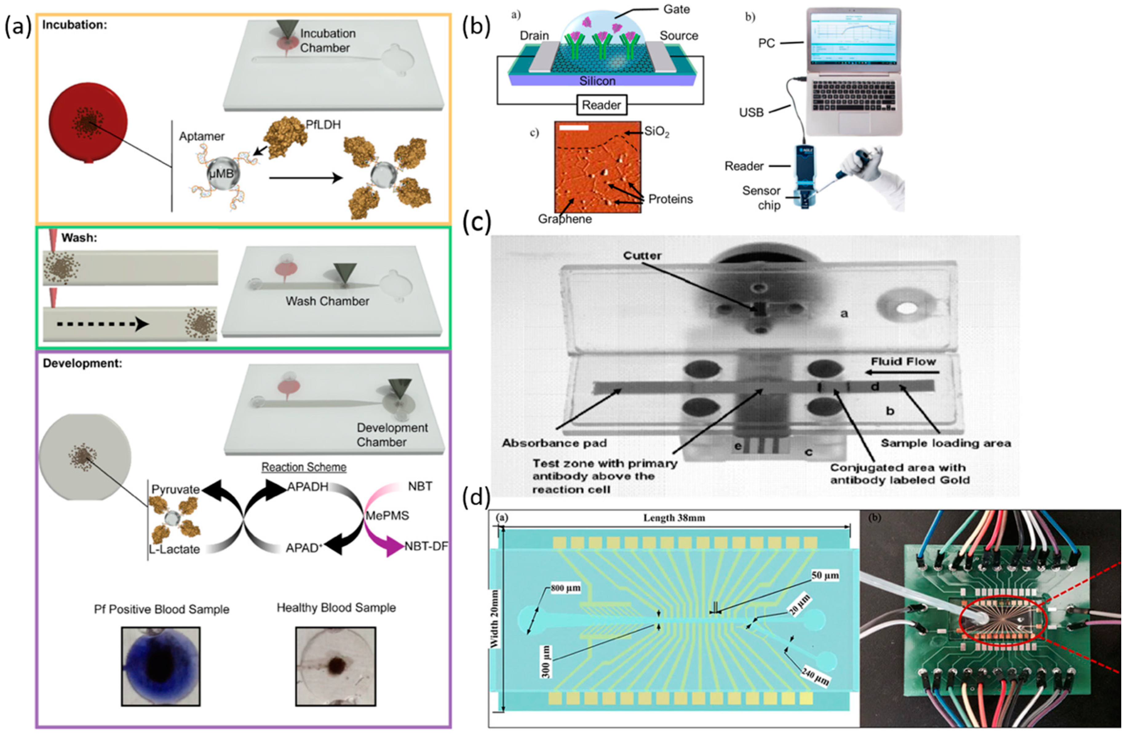 Biosensors 10 00127 g005