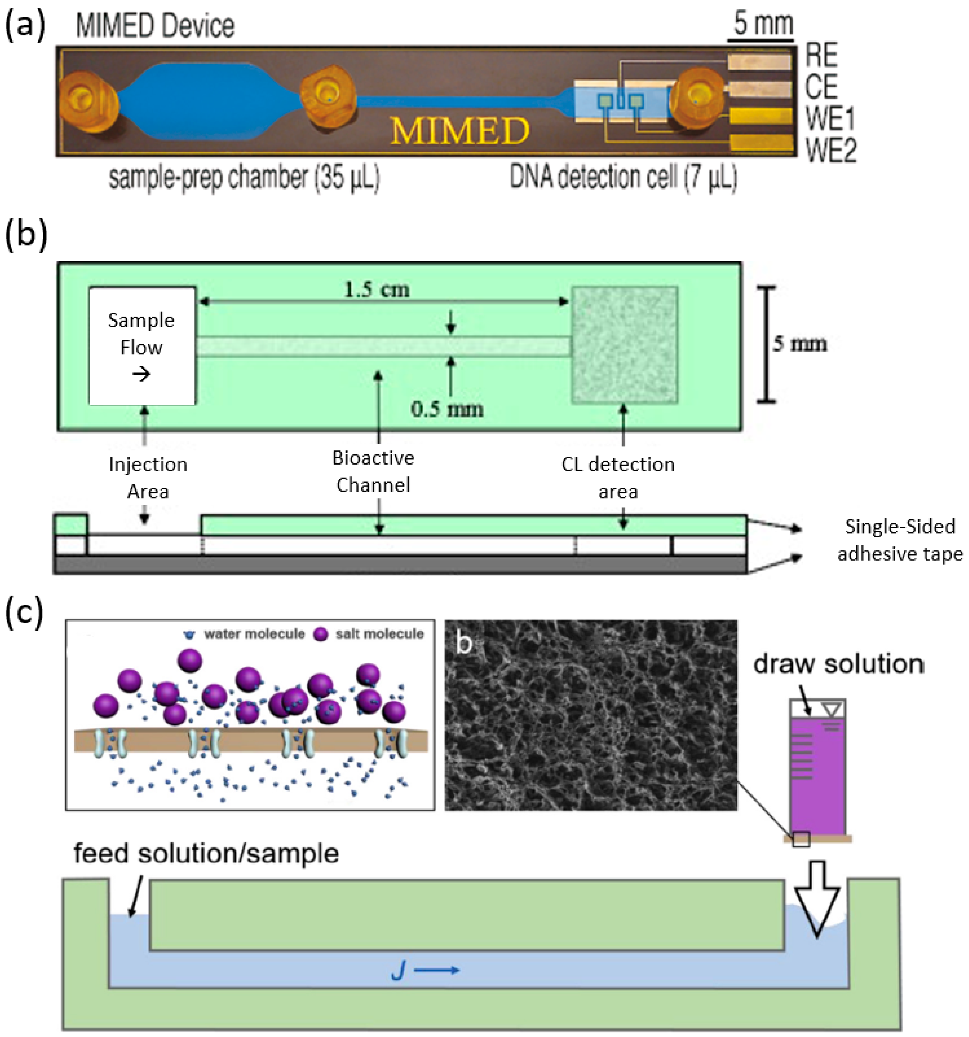 Biosensors 10 00127 g008