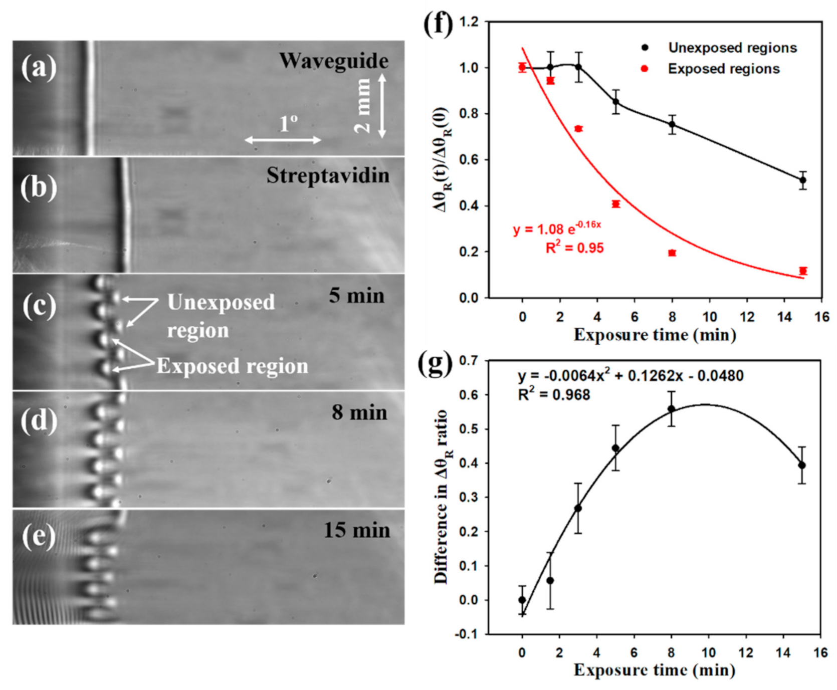 Biosensors 10 00134 g004