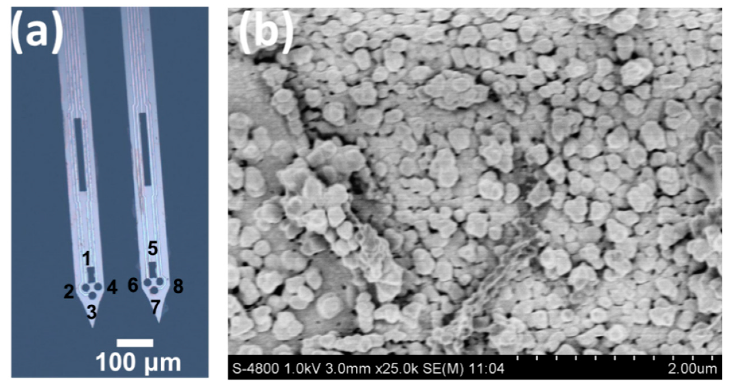 Biosensors 10 00136 g001