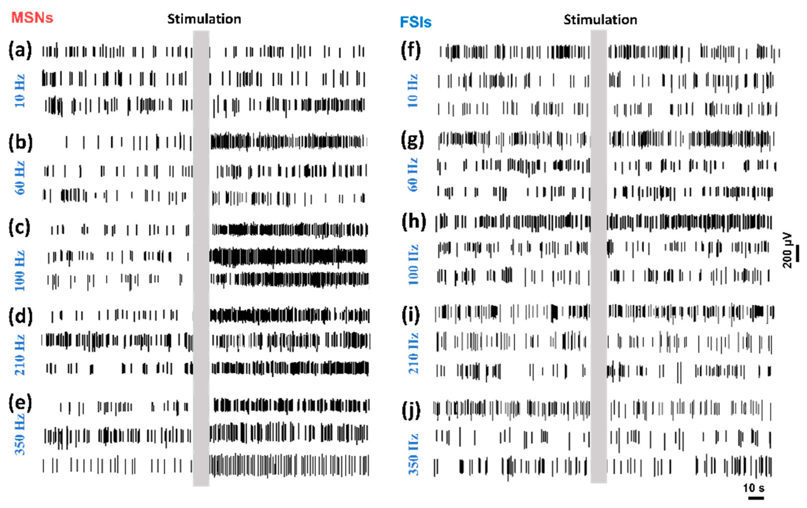 Biosensors 10 00136 g006