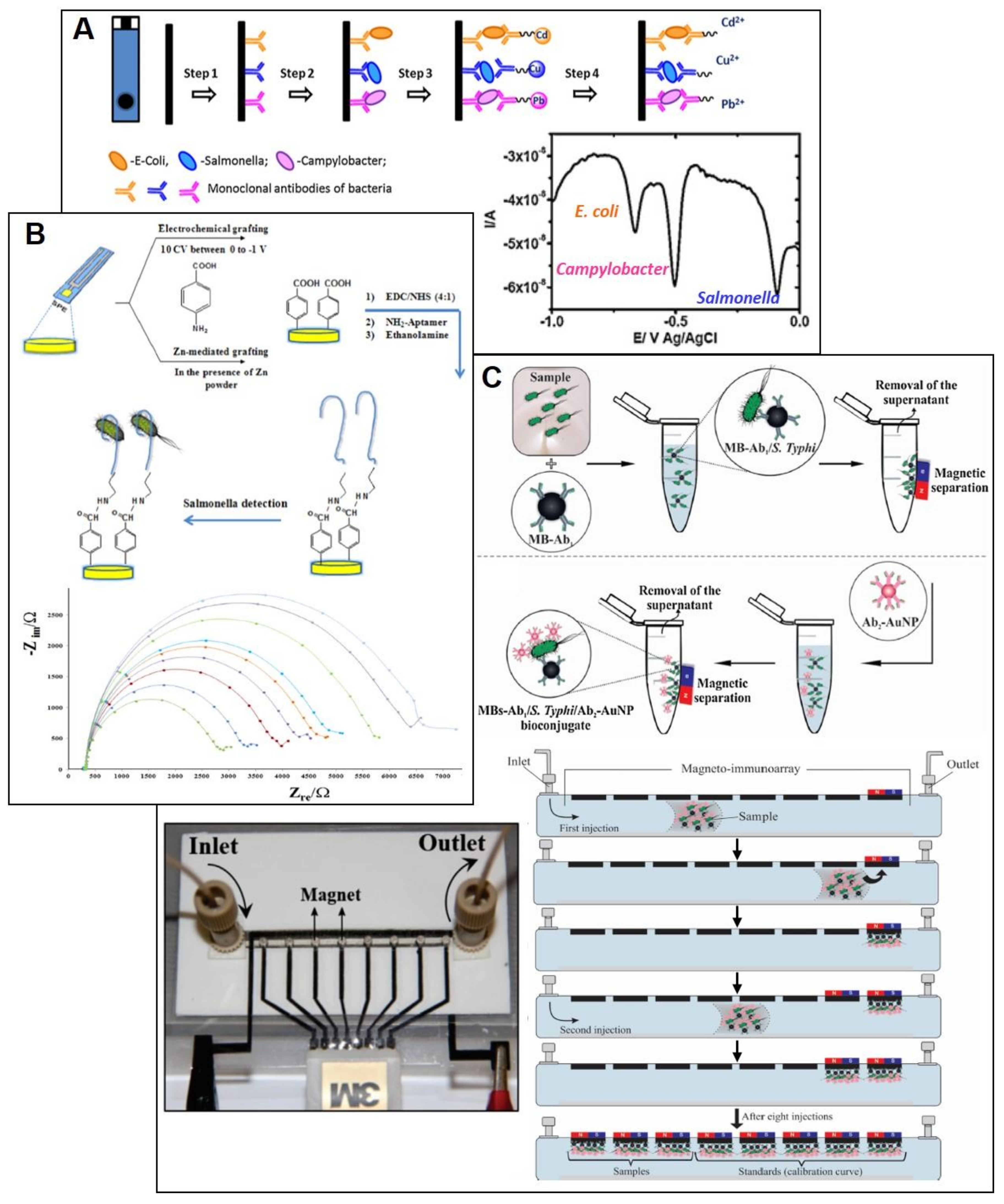 Biosensors 10 00139 g004 Biosensors 10 00139 g004