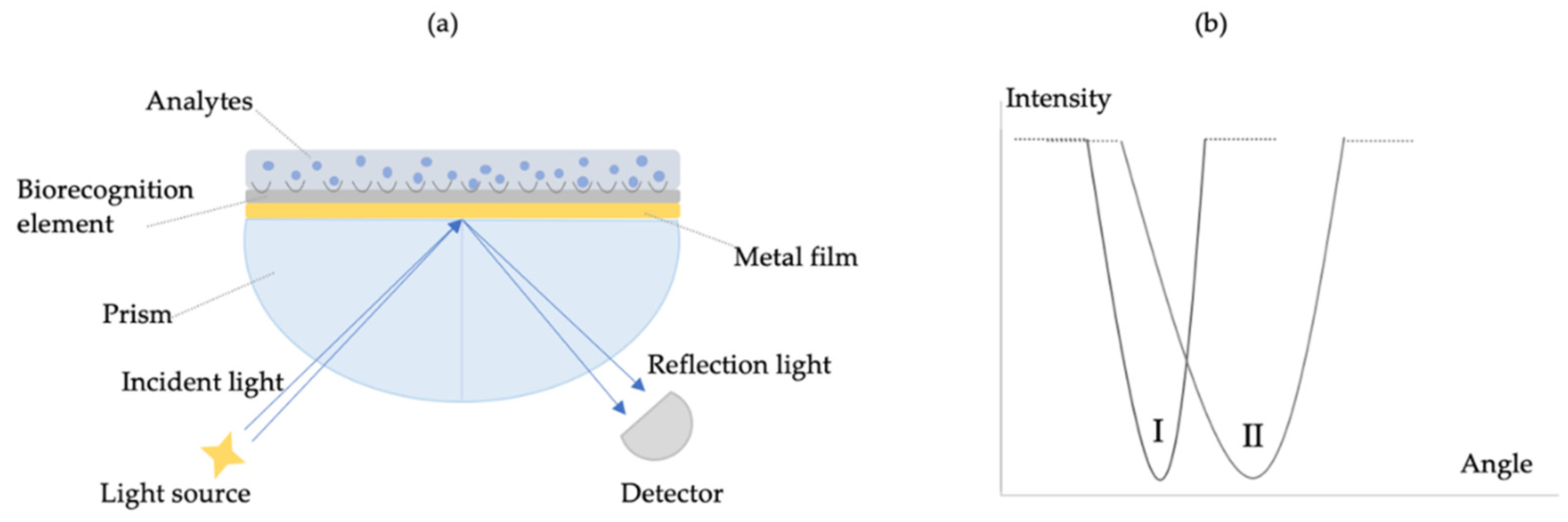 Biosensors 10 00142 g002