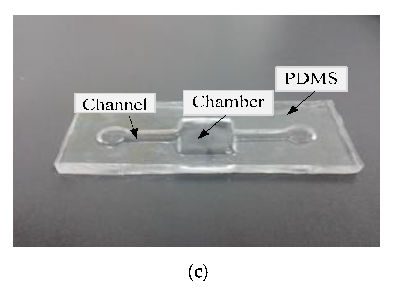 Biosensors 10 00143 g002b Biosensors 10 00143 g002b