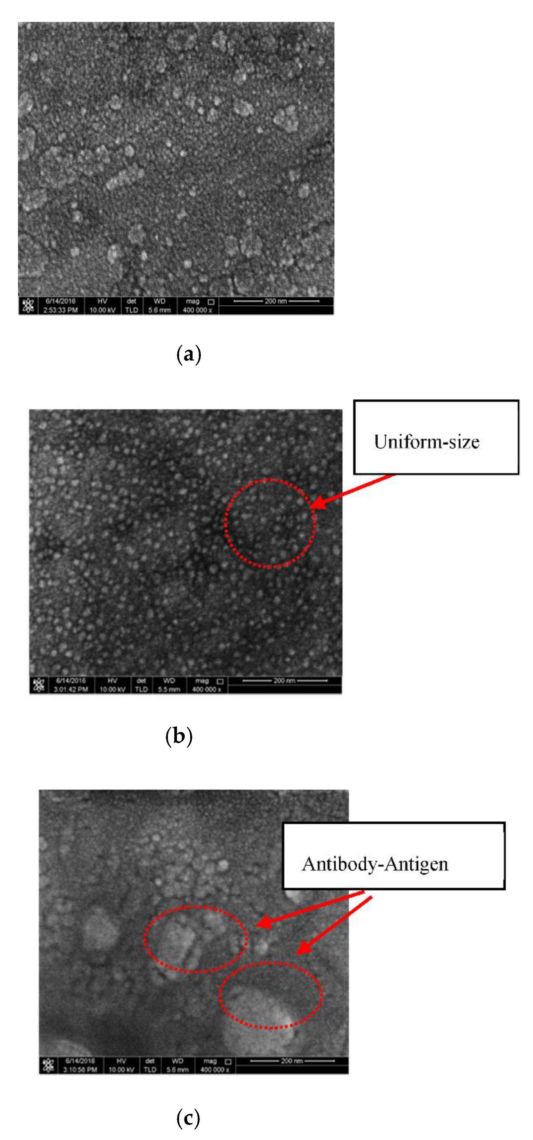 Biosensors 10 00143 g010 Biosensors 10 00143 g010