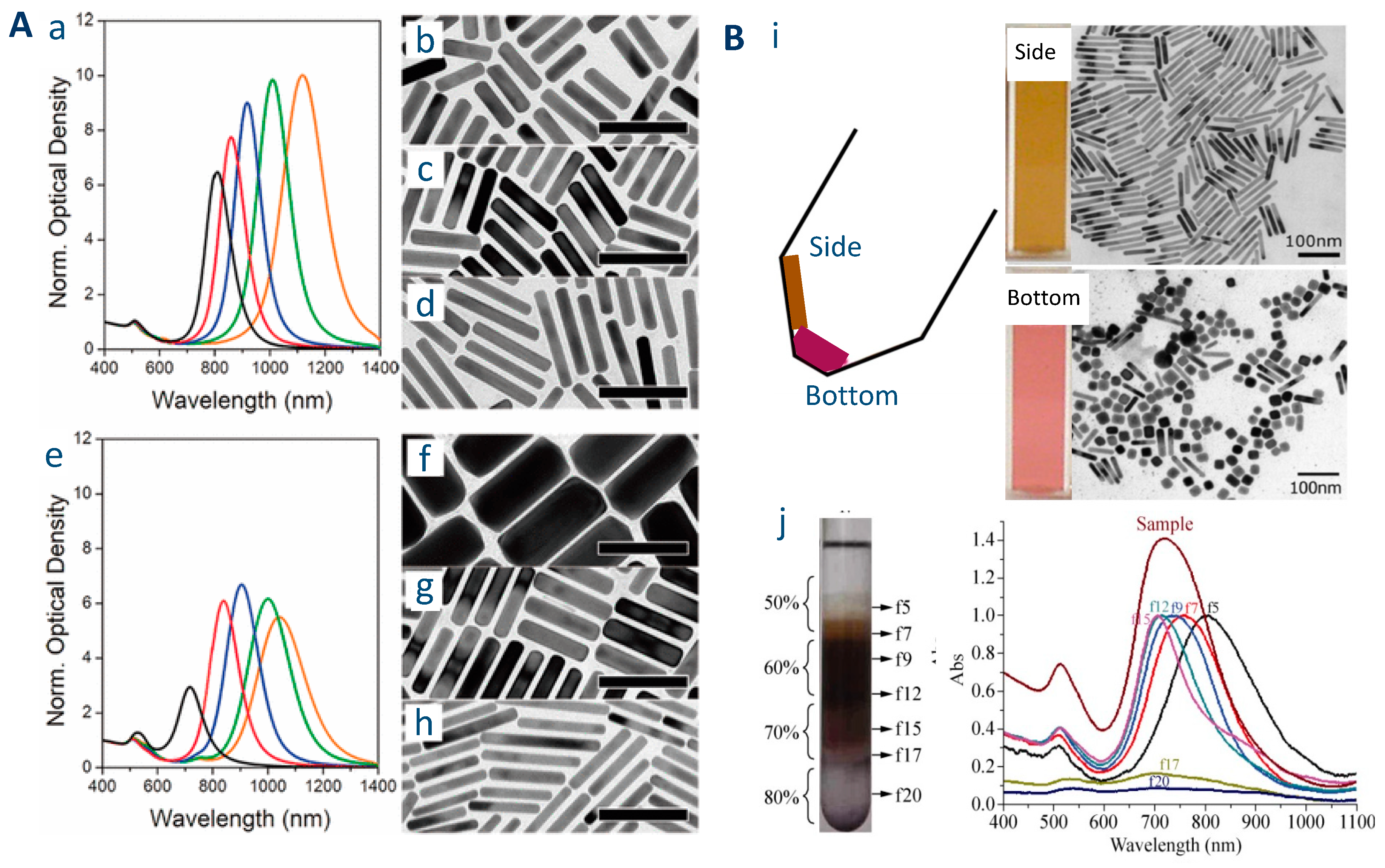Biosensors 10 00146 g003