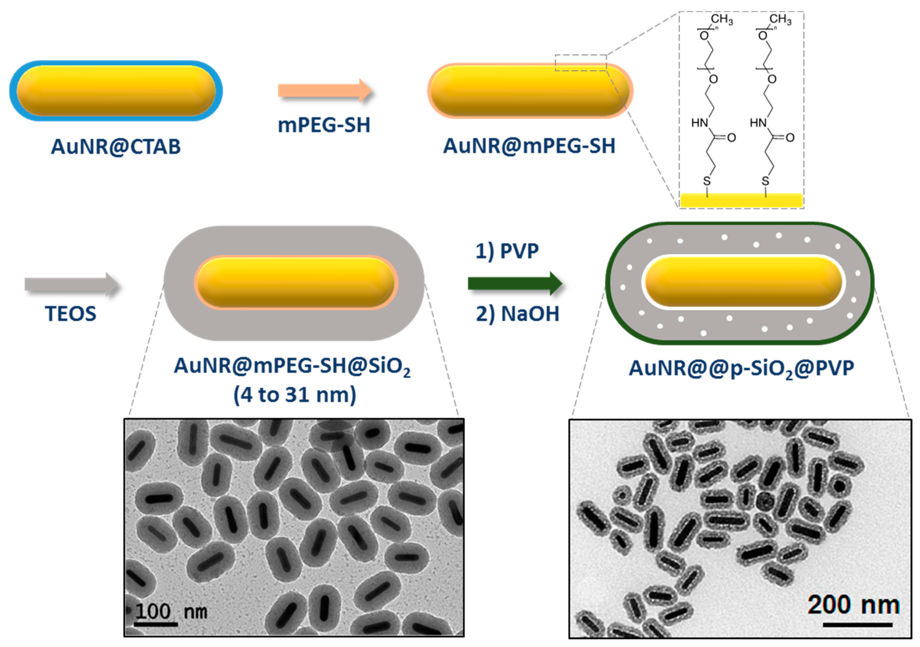 Biosensors 10 00146 g007