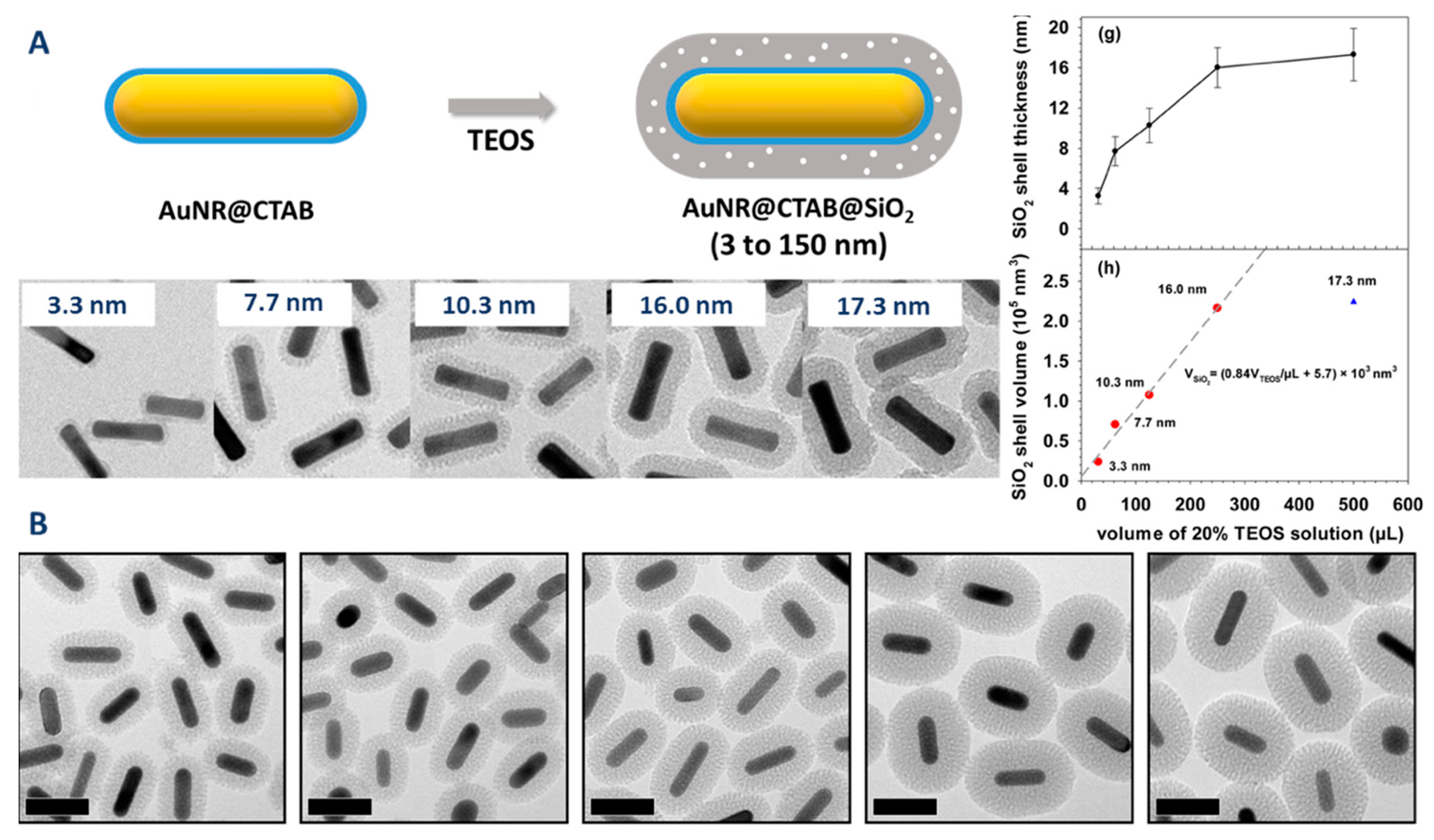 Biosensors 10 00146 g009
