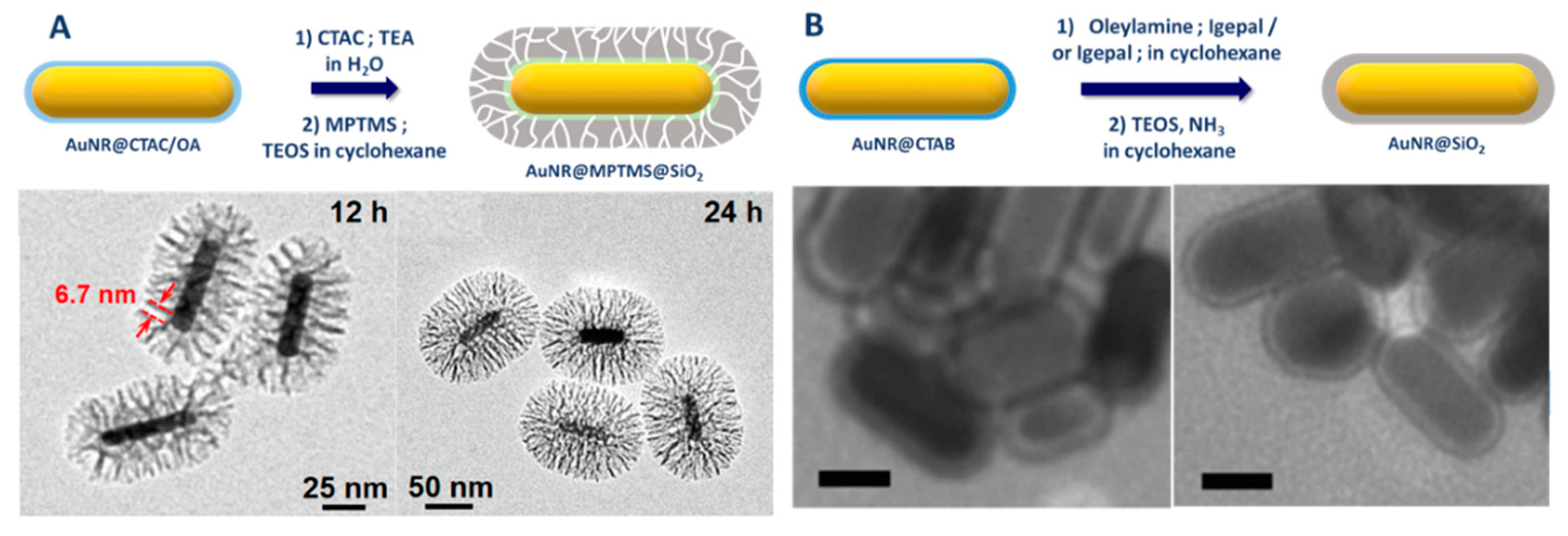 Biosensors 10 00146 g010