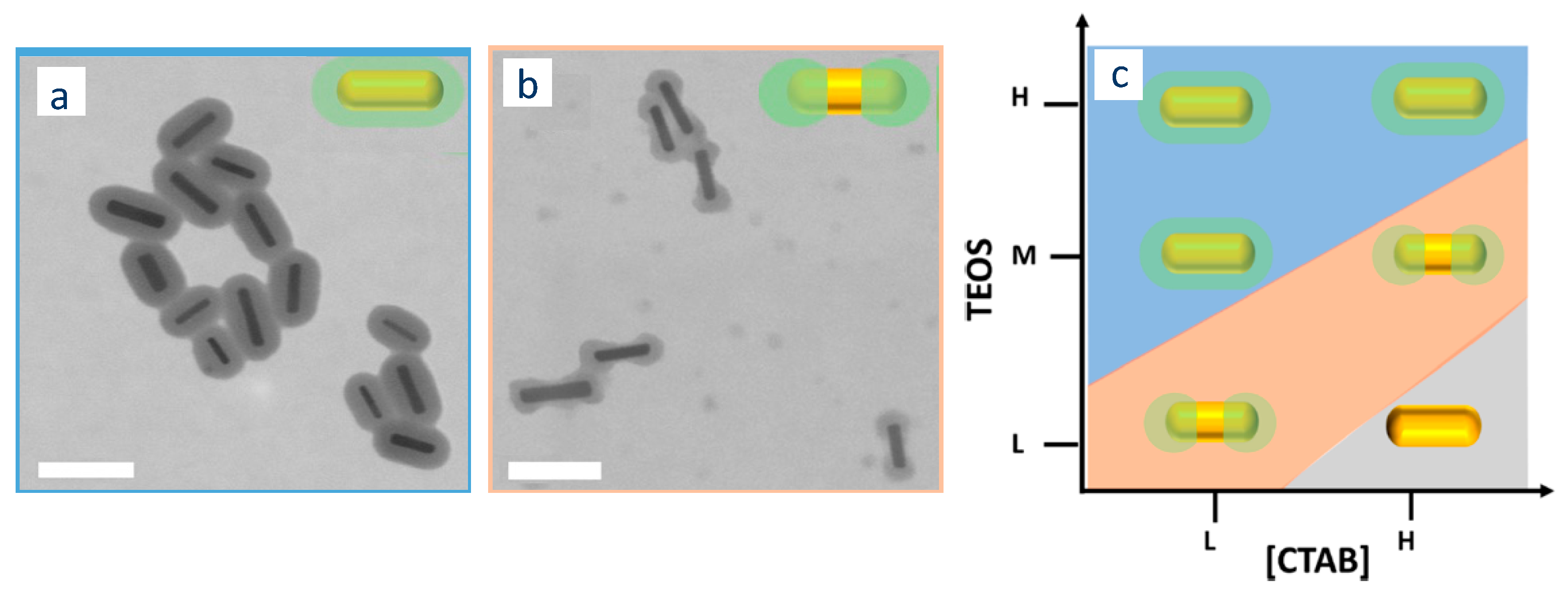 Biosensors 10 00146 g011
