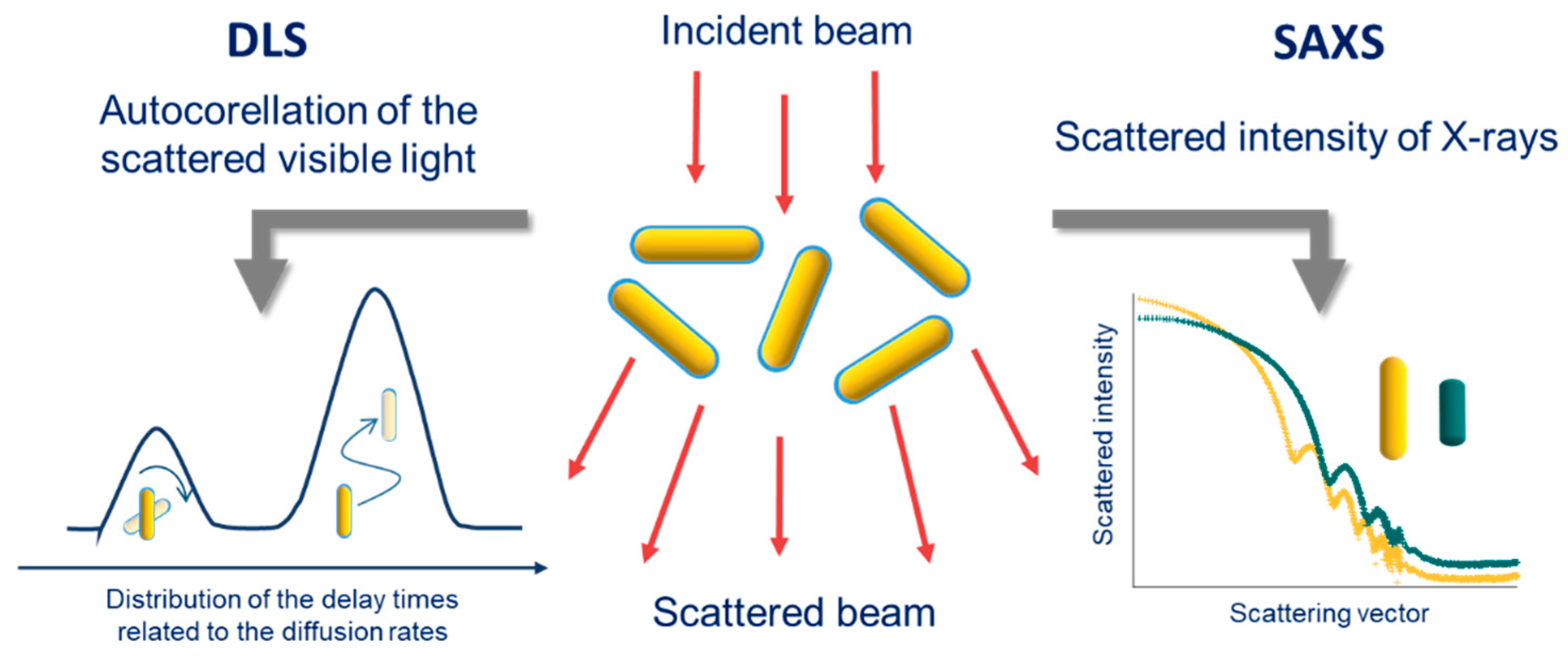 Biosensors 10 00146 g014
