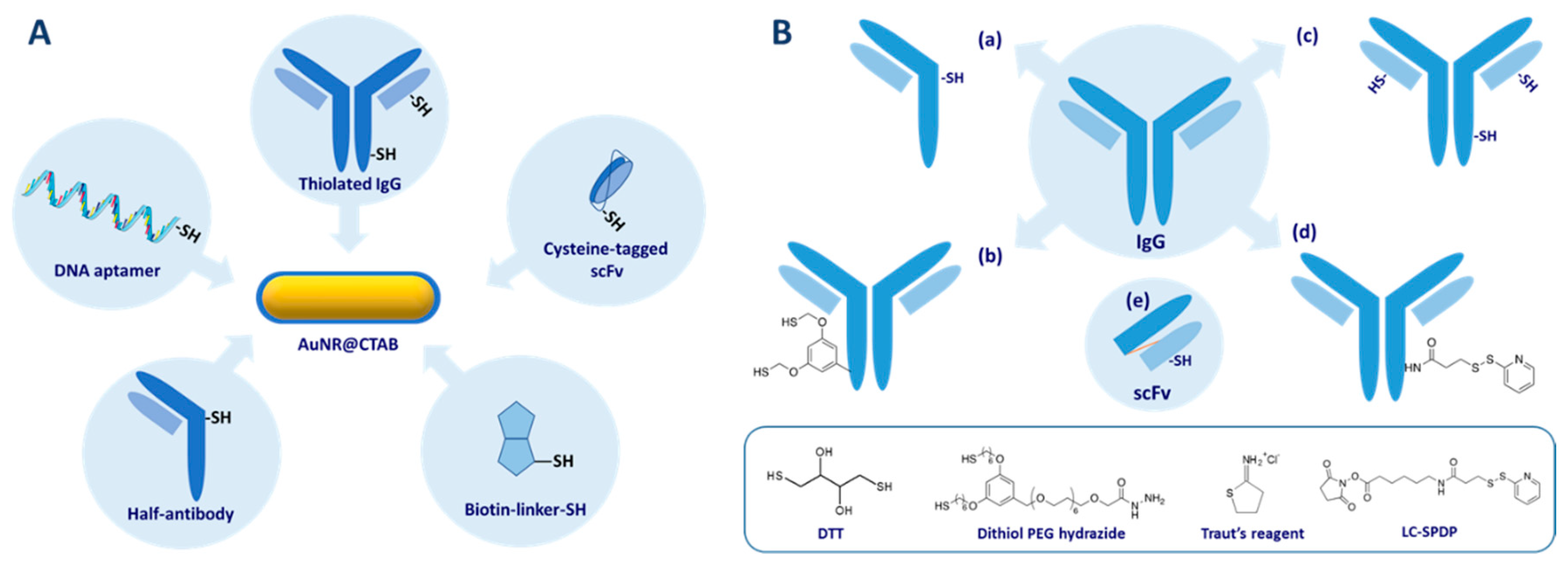 Biosensors 10 00146 g016