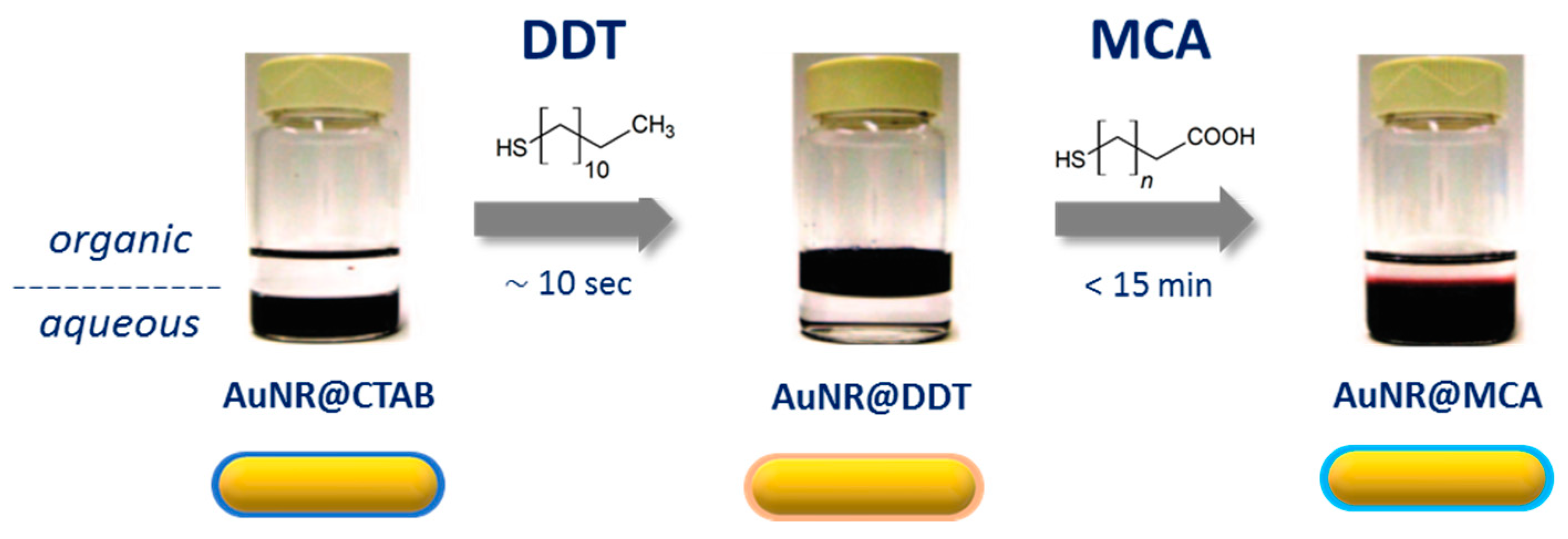 Biosensors 10 00146 g017