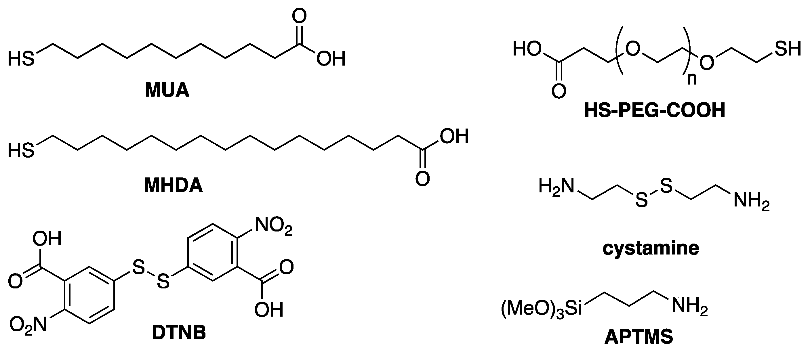 Biosensors 10 00146 g019