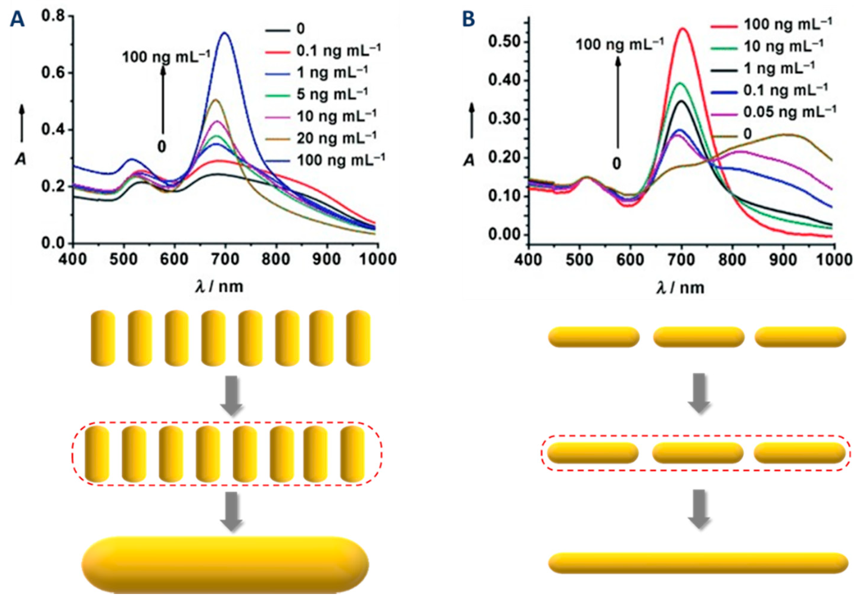 Biosensors 10 00146 g021