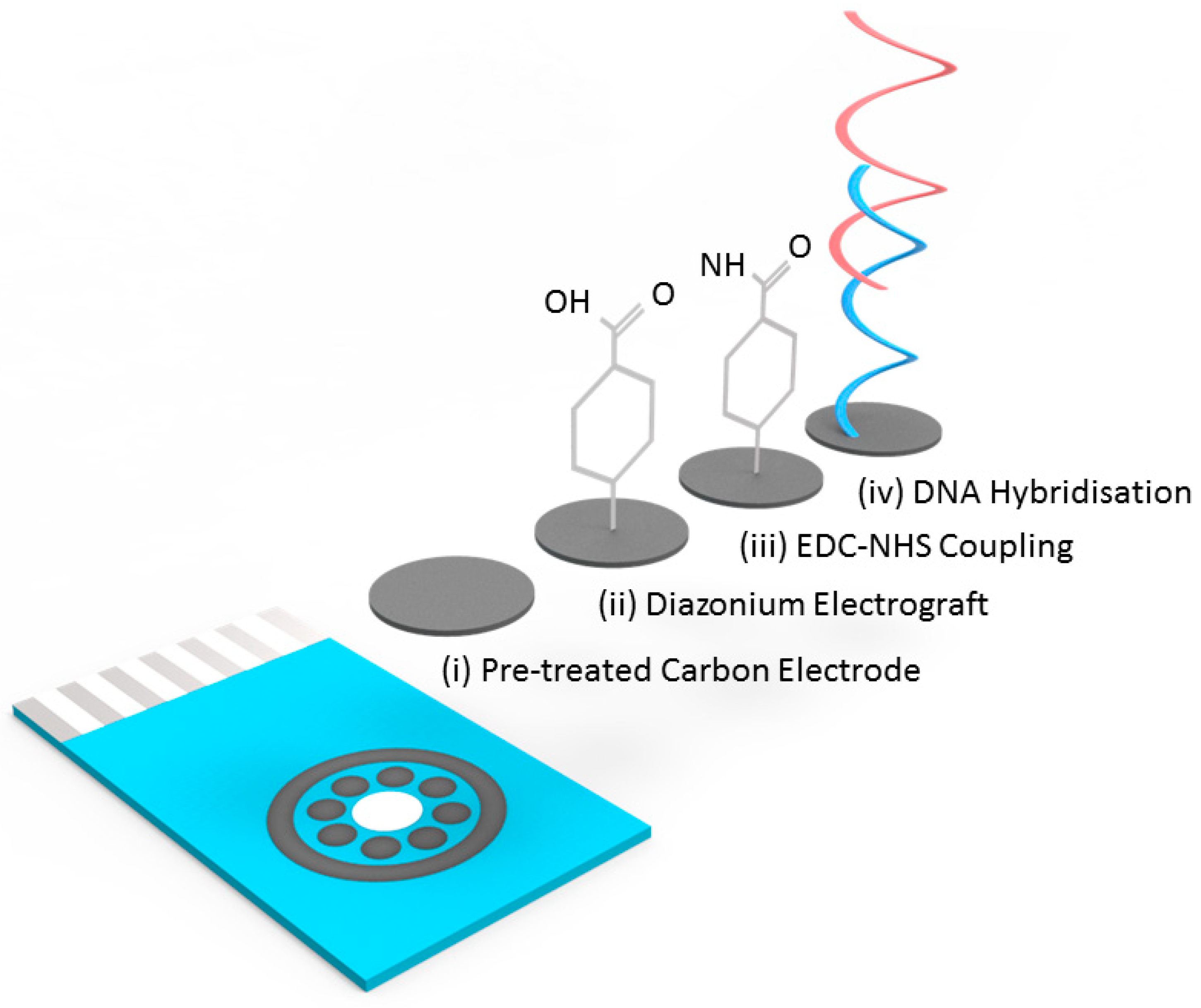 Biosensors 10 00156 g001