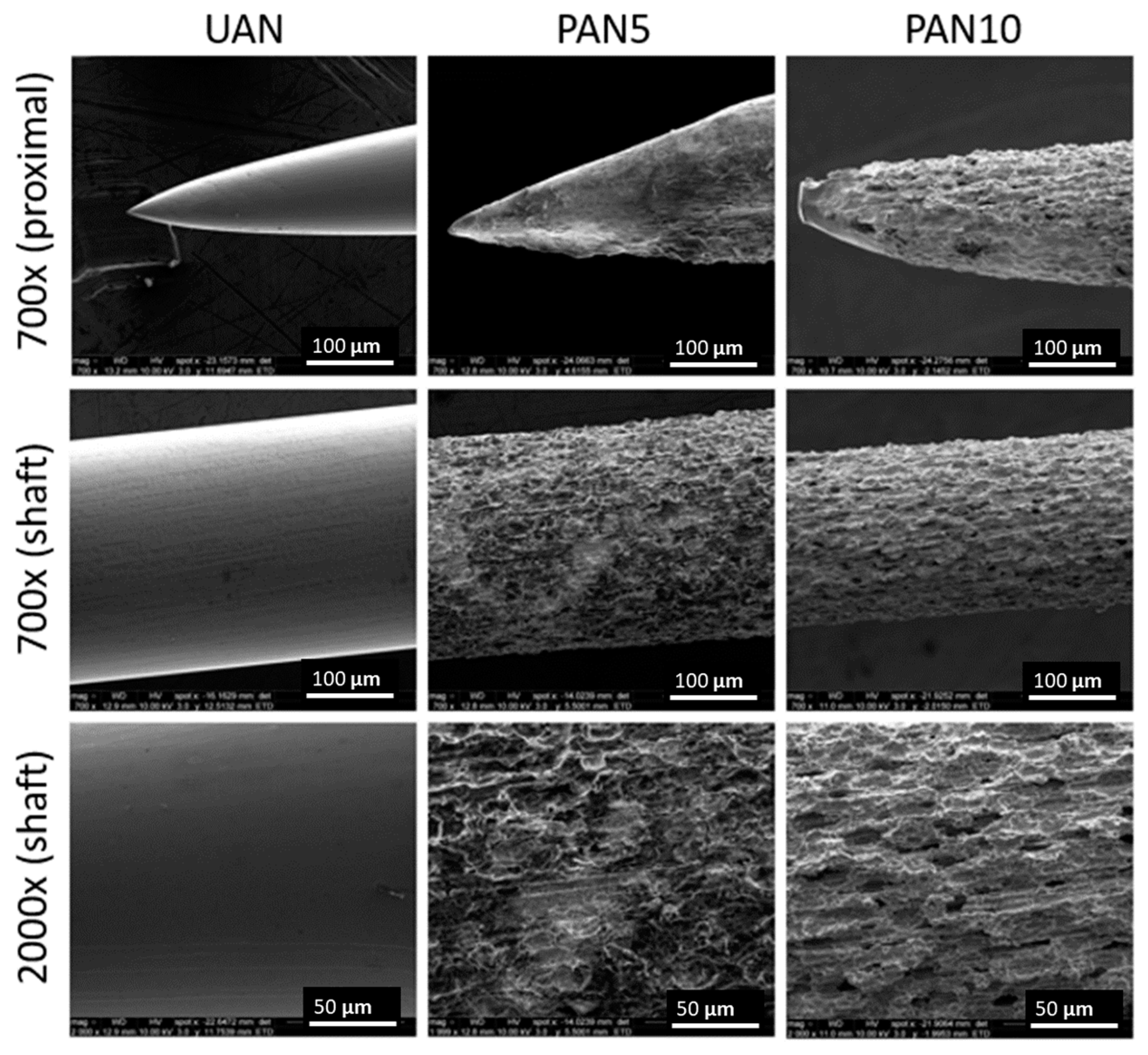 Biosensors 10 00157 g001