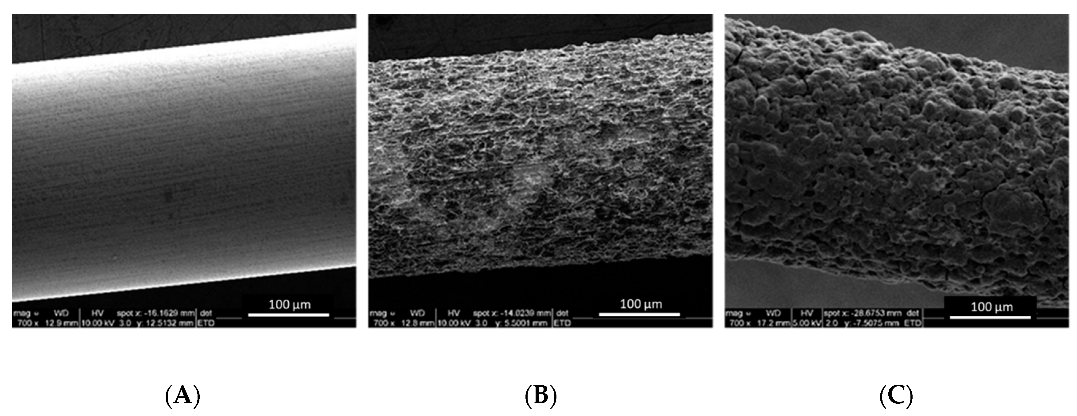 Biosensors 10 00157 g004