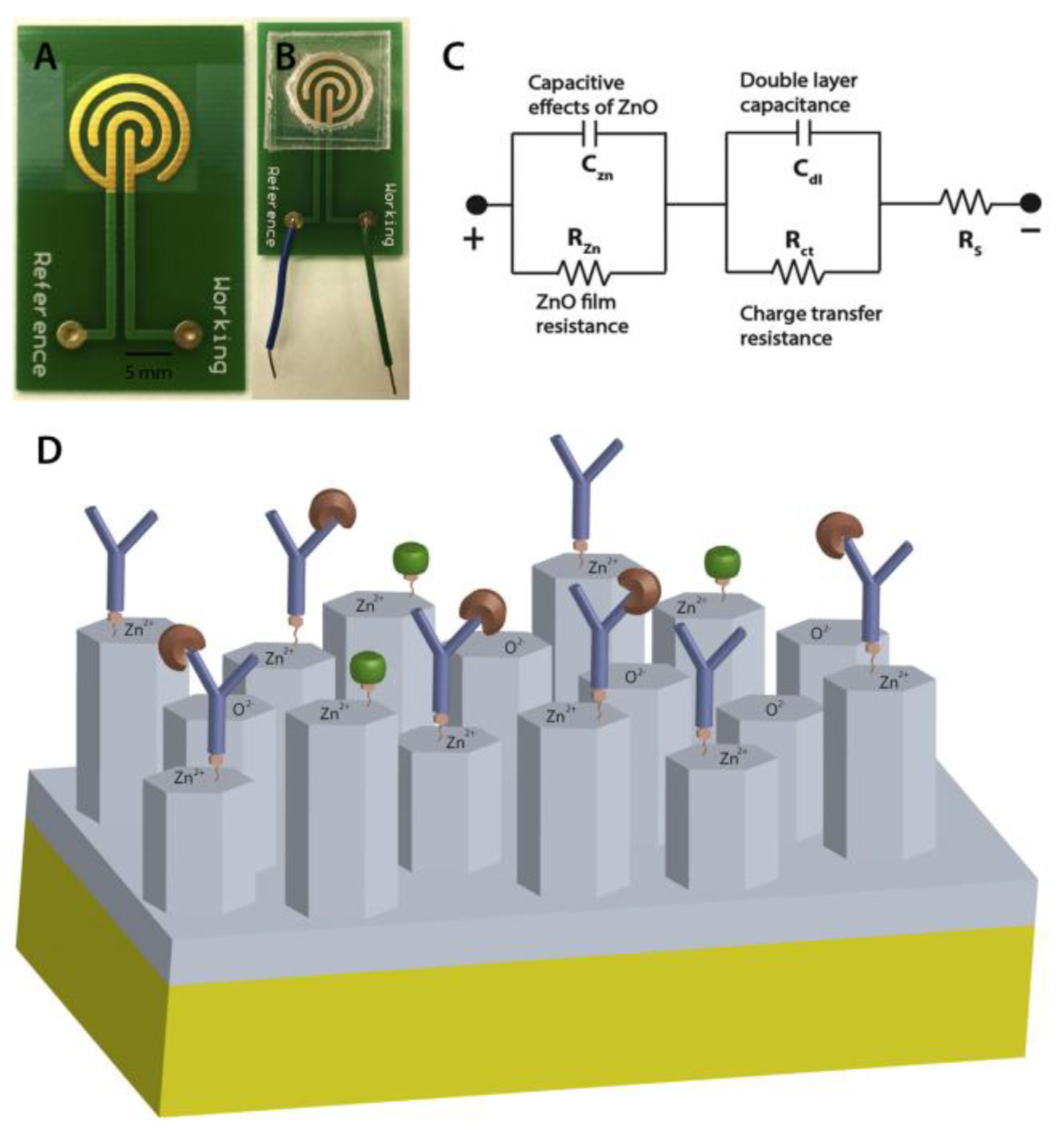 Biosensors 10 00159 g007