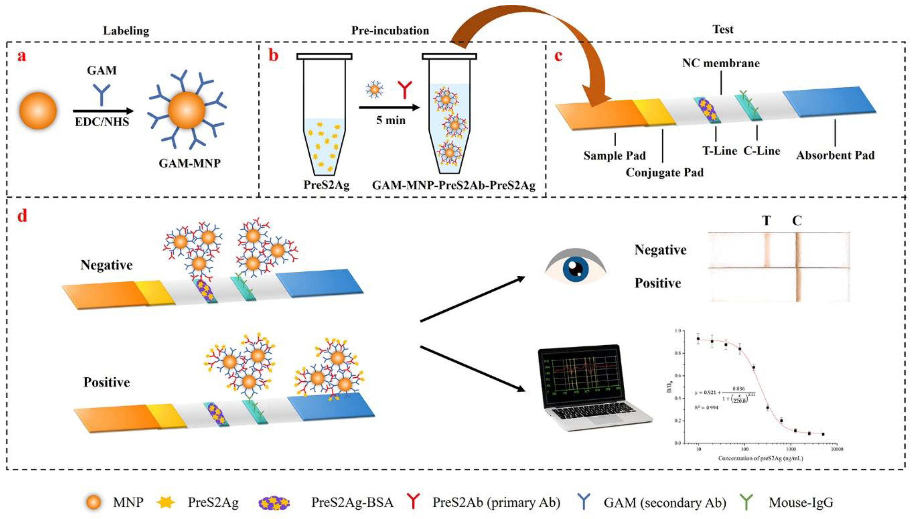Biosensors 10 00161 g001