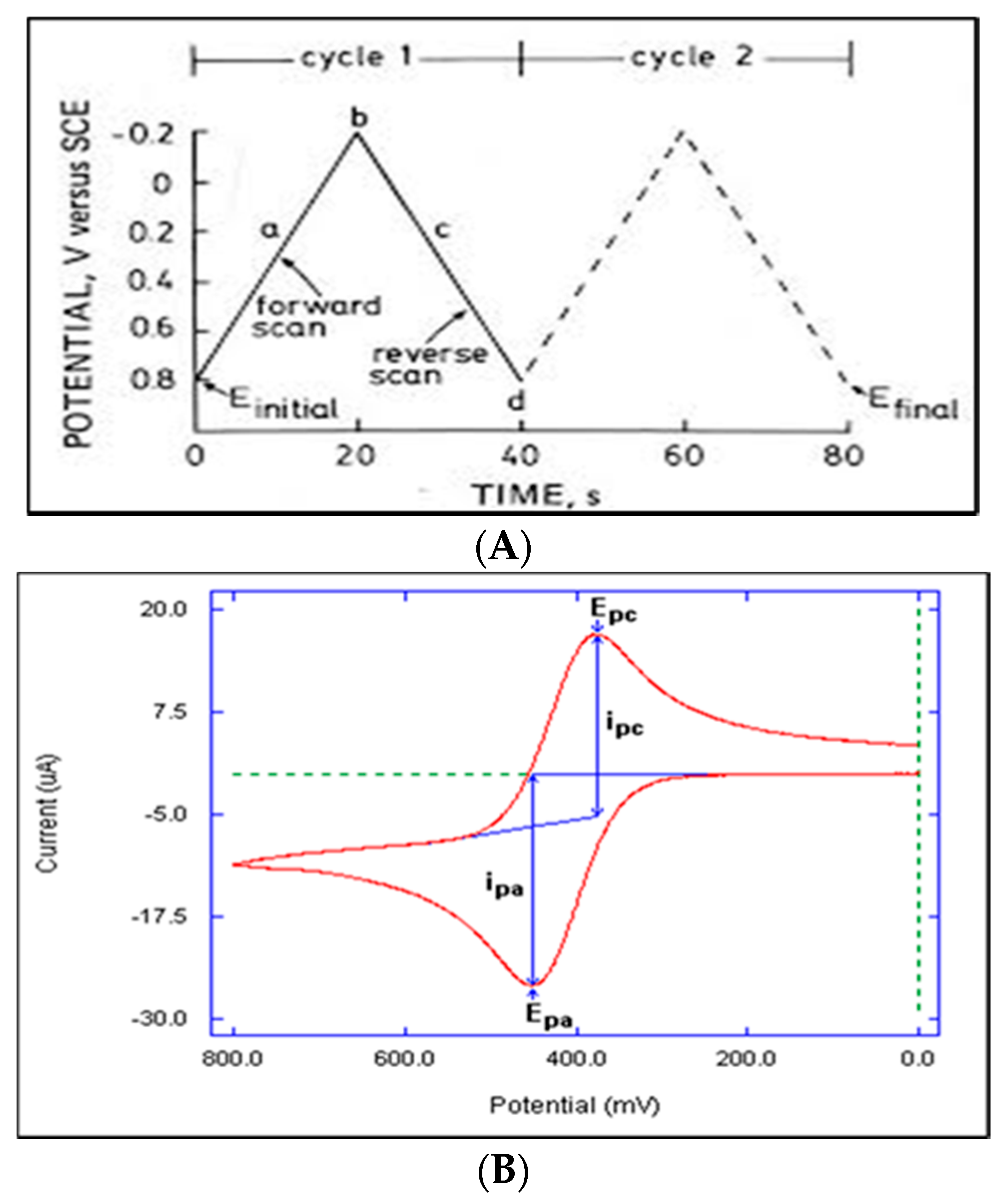 Biosensors 10 00162 g004 Biosensors 10 00162 g004