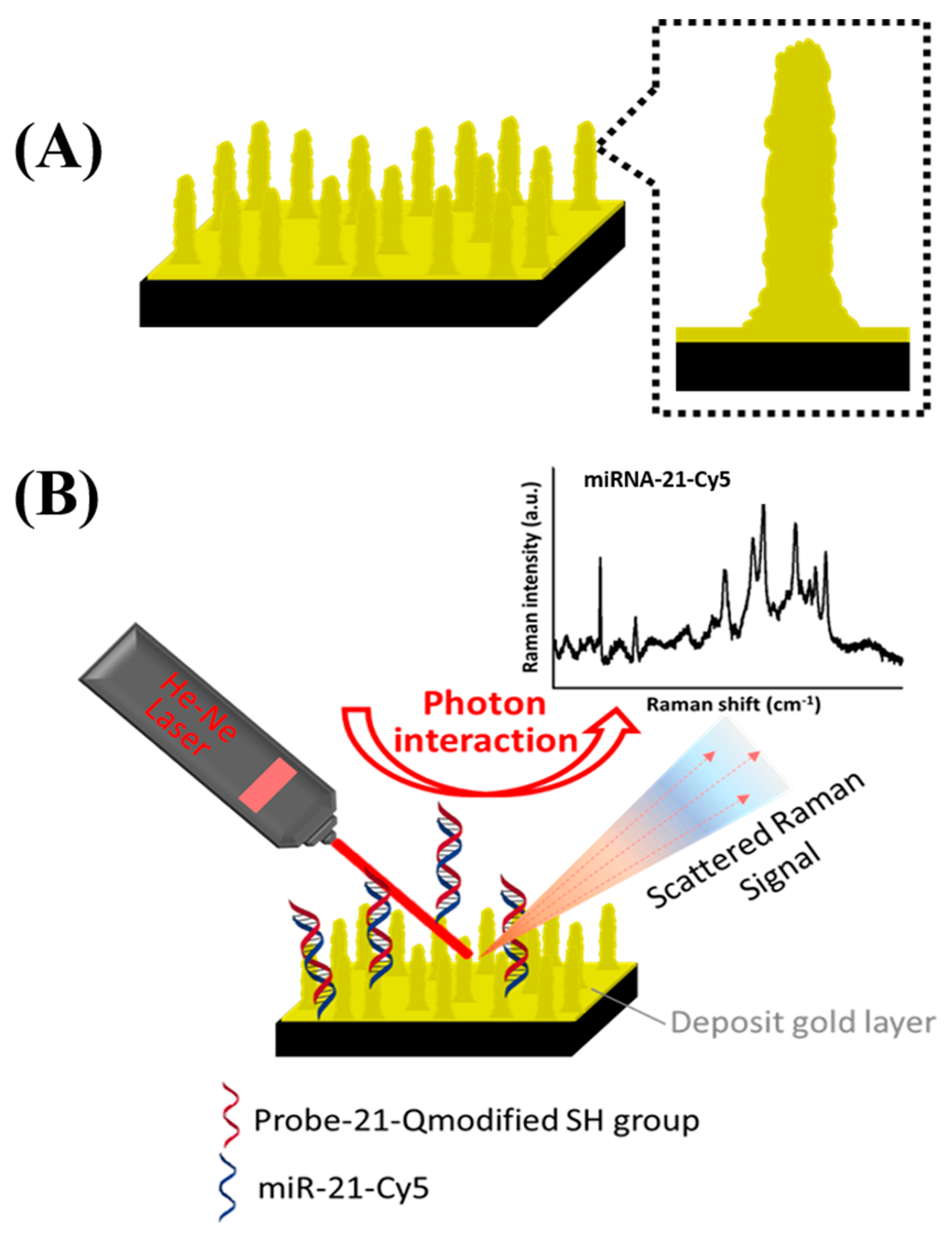 Biosensors 10 00163 g001