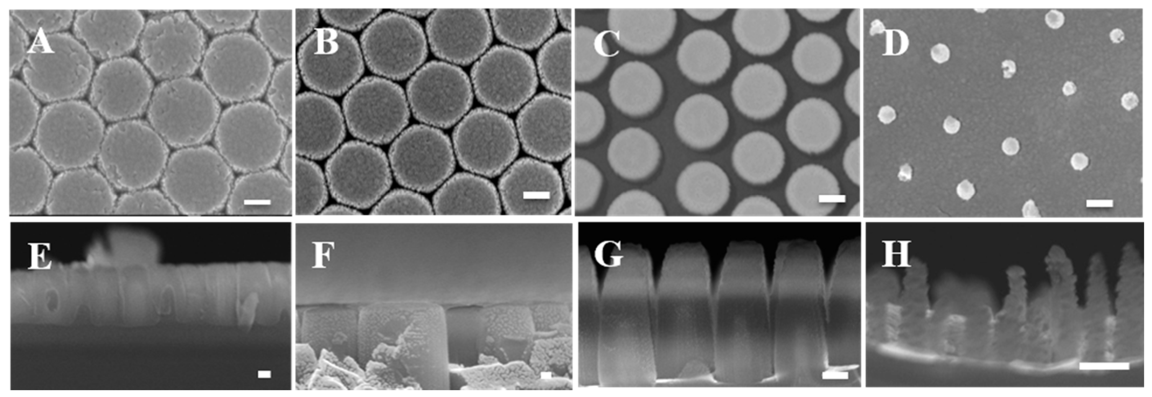 Biosensors 10 00163 g003