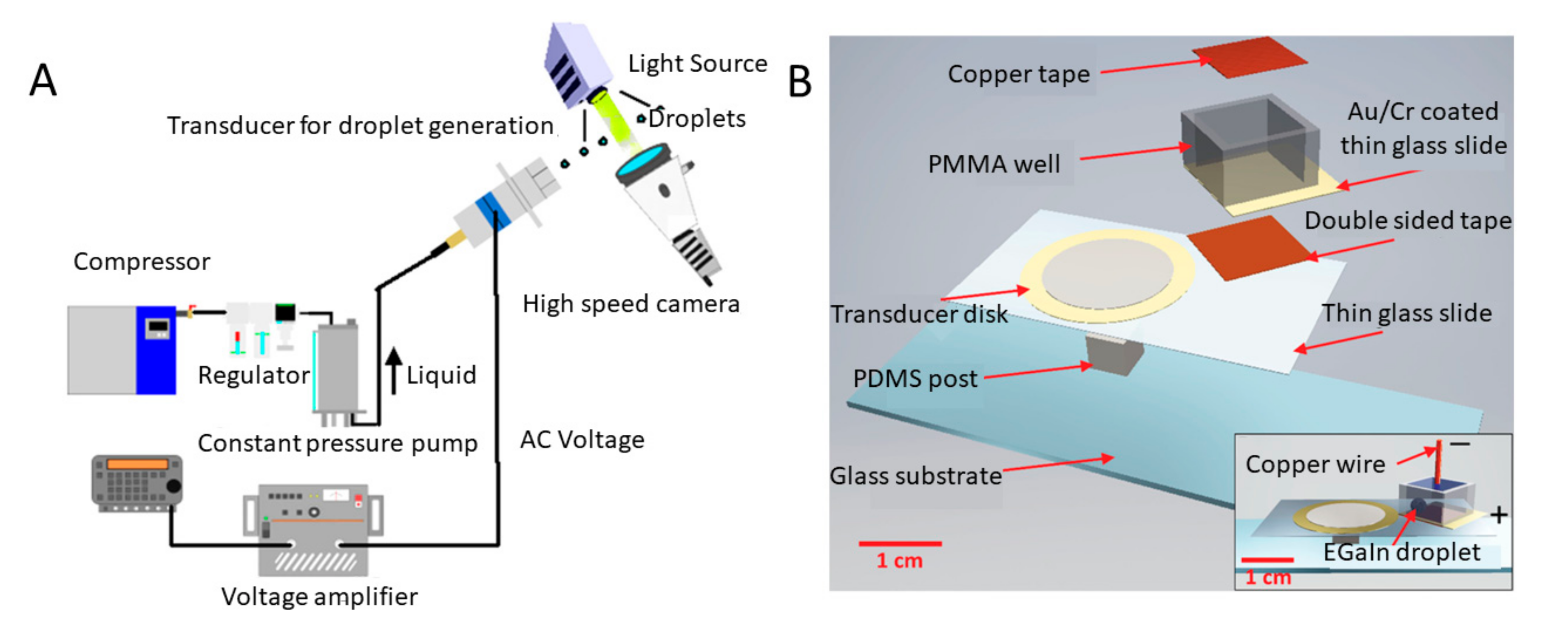 Biosensors 10 00165 g009 Biosensors 10 00165 g009