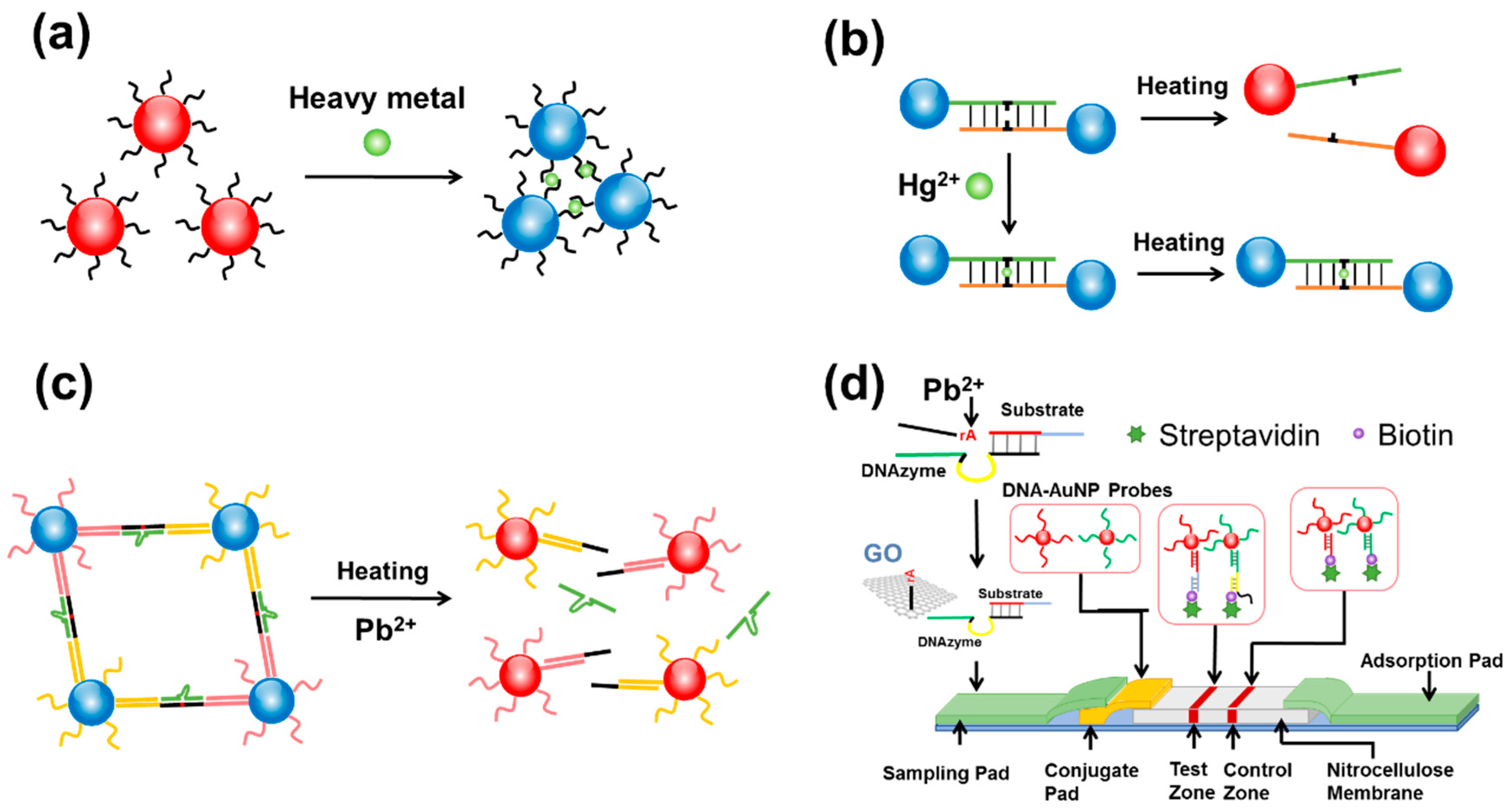 Biosensors 10 00167 g002 Biosensors 10 00167 g002