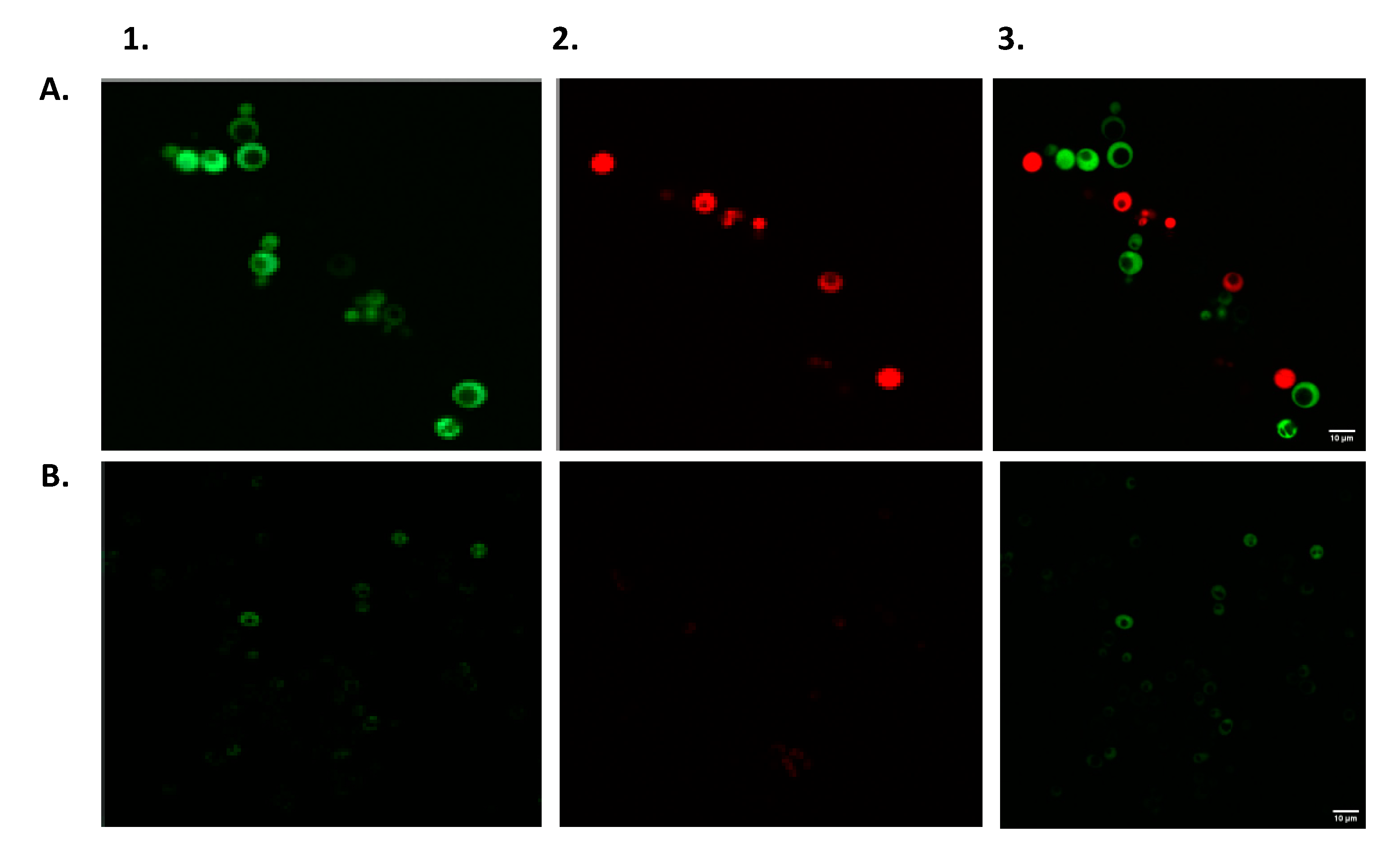 Biosensors 10 00169 g007