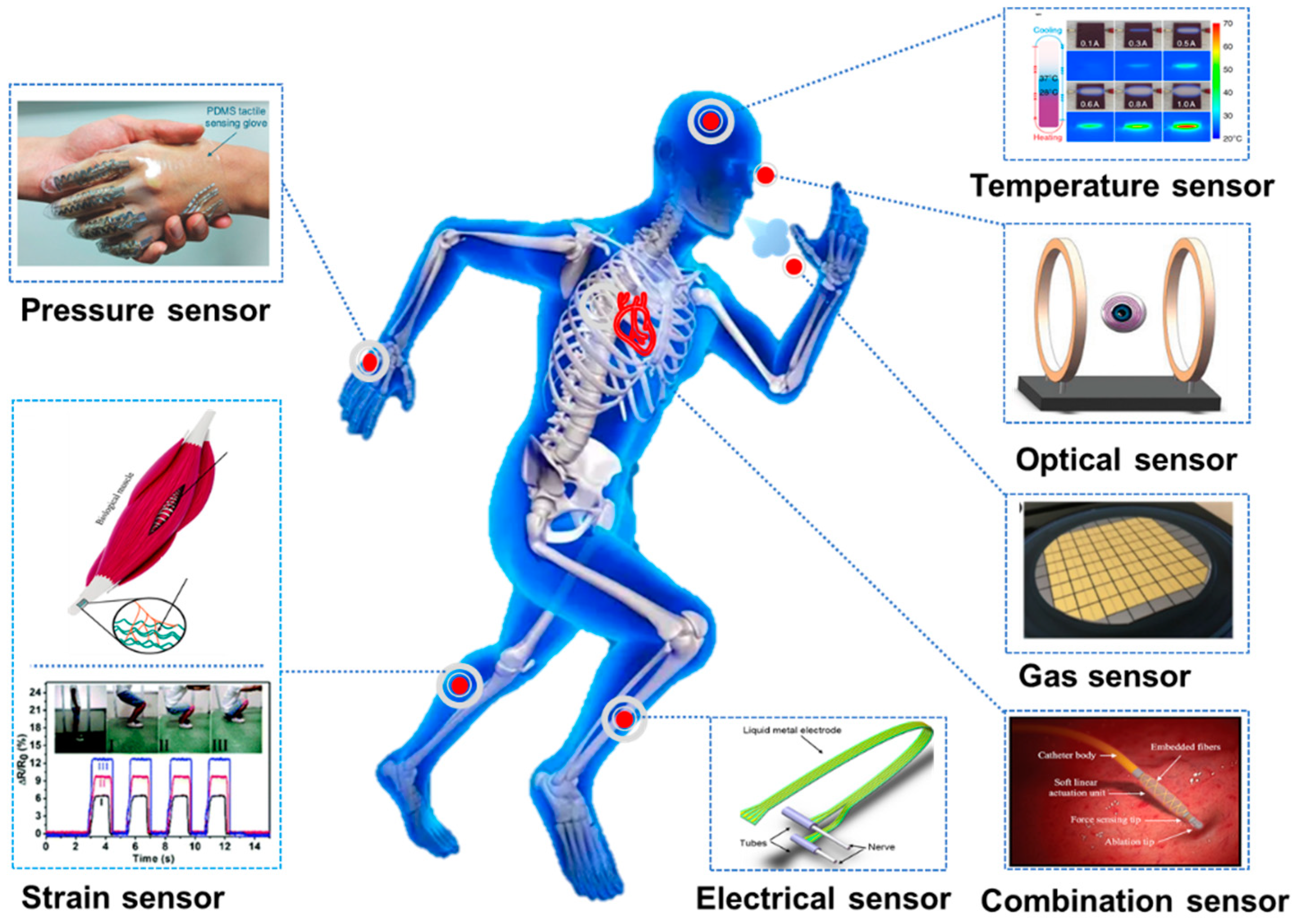 Biosensors 10 00170 g004 Biosensors 10 00170 g004