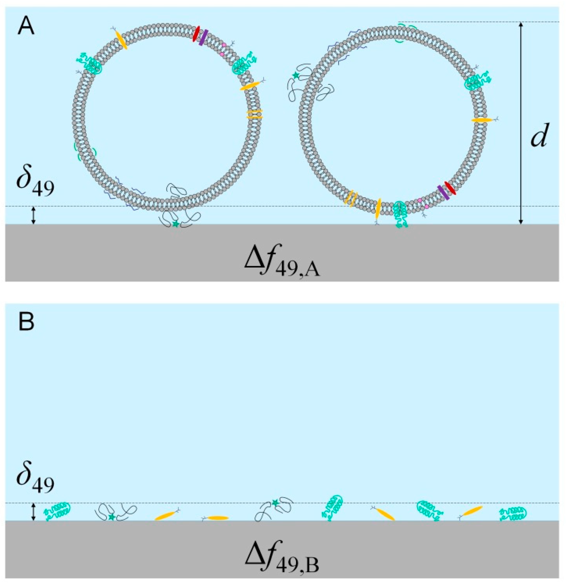 Biosensors 10 00173 g005 Biosensors 10 00173 g005