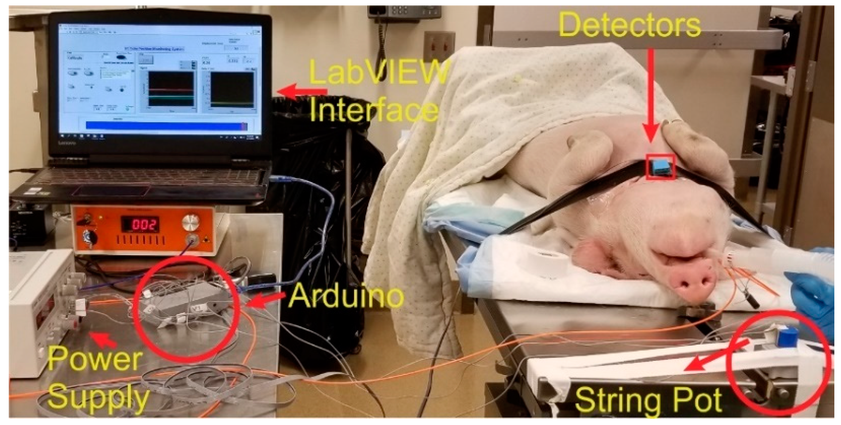 Biosensors 10 00174 g003