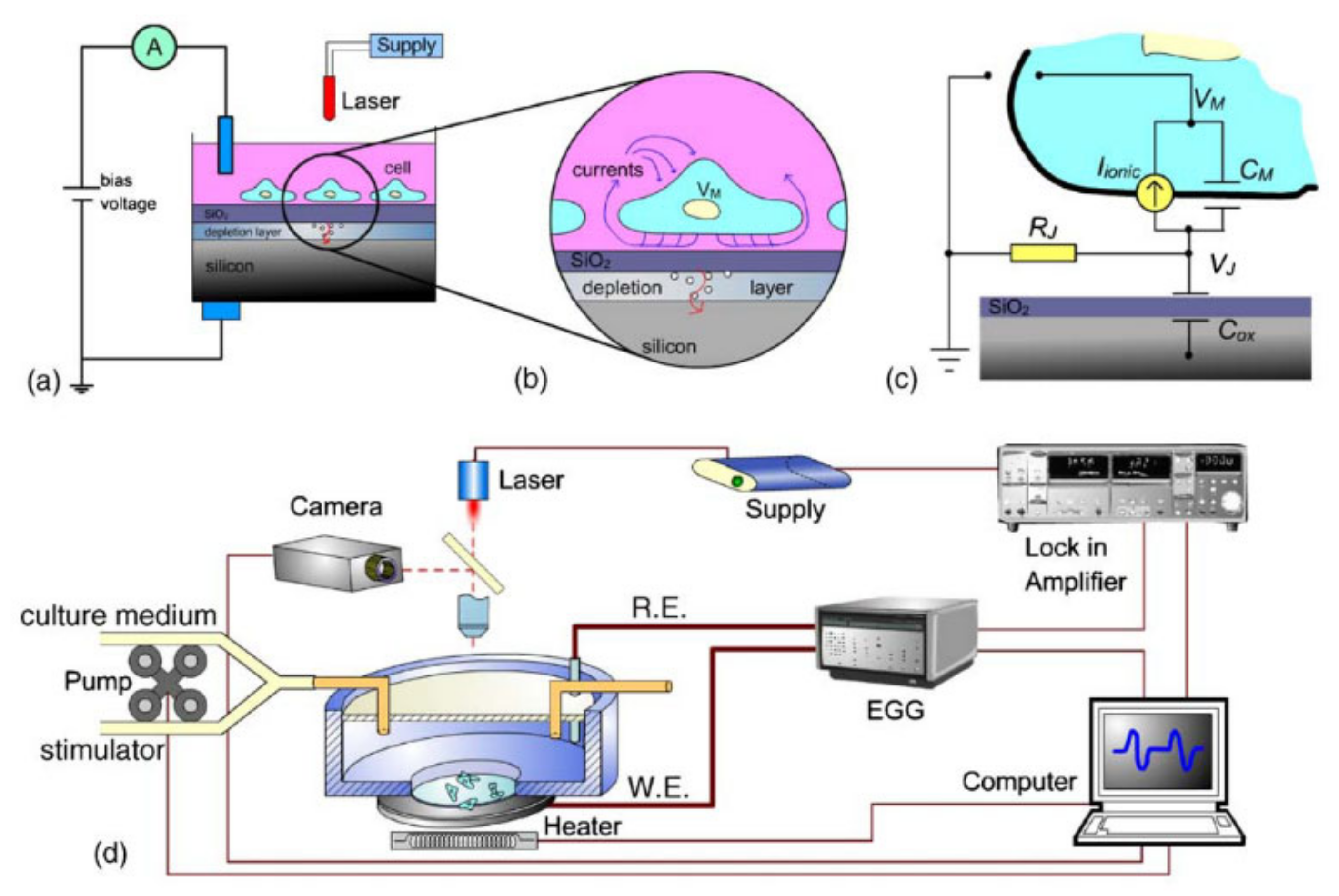 Biosensors 10 00176 g003 Biosensors 10 00176 g003