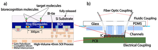 biosensors-10-00177-g001-550.jpg