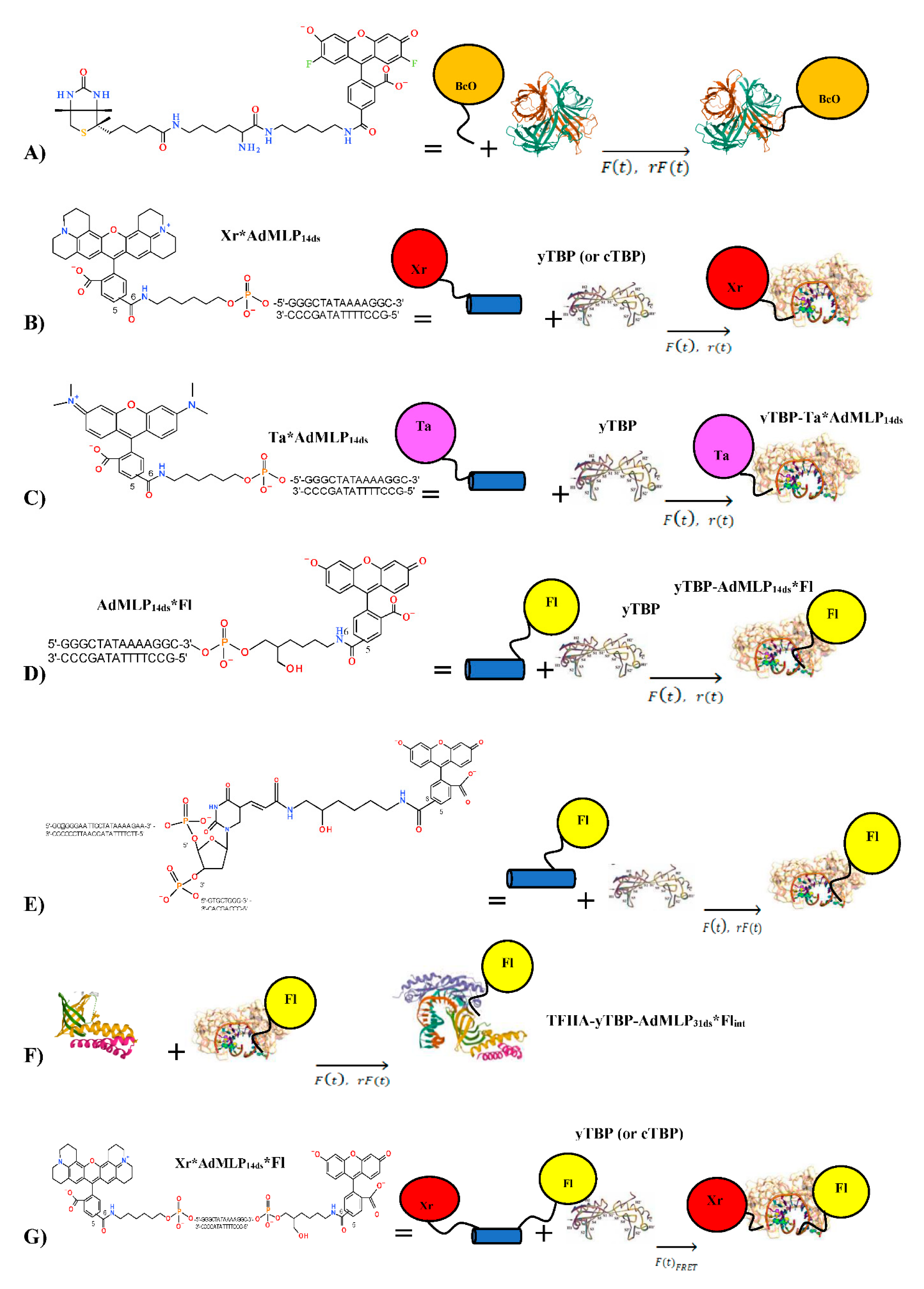 Biosensors 10 00180 g001