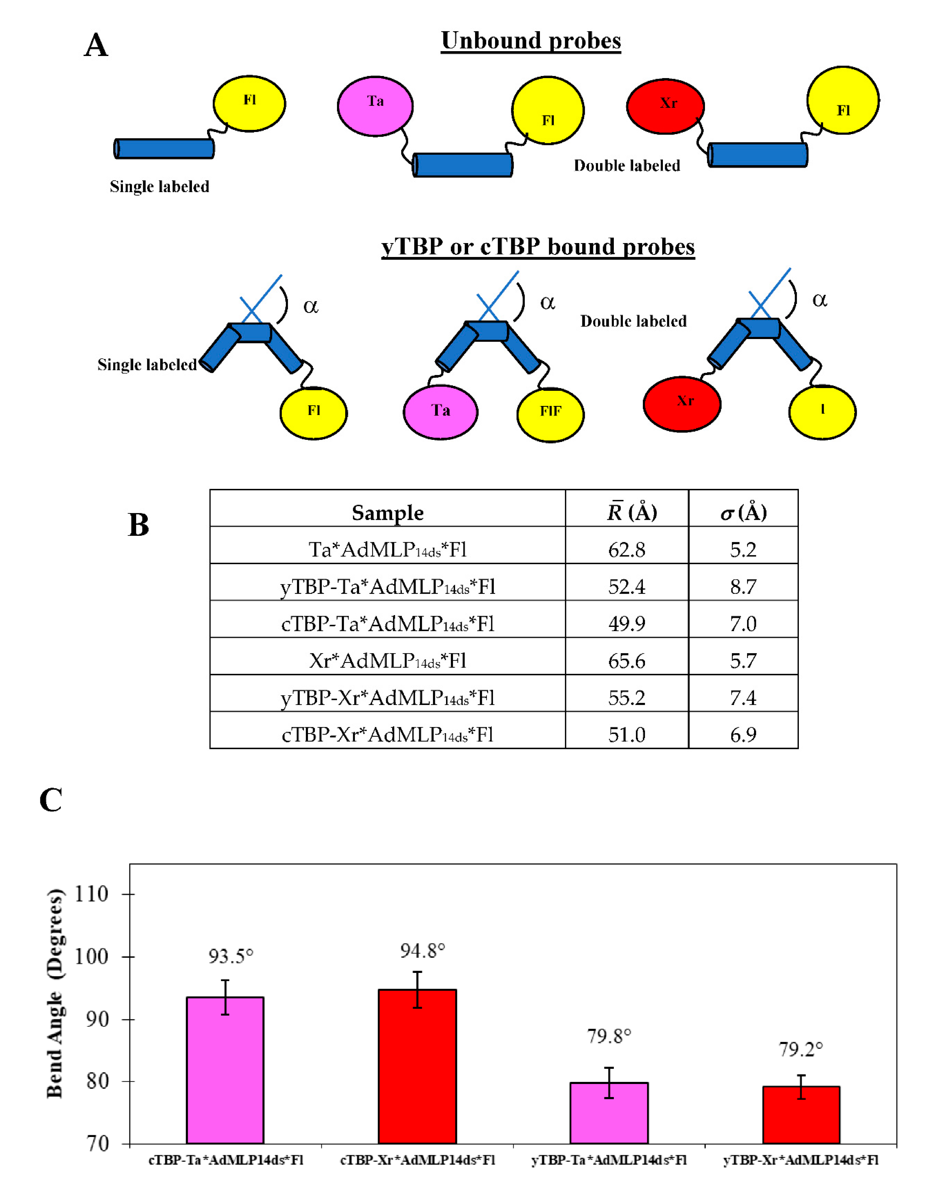 Biosensors 10 00180 g009
