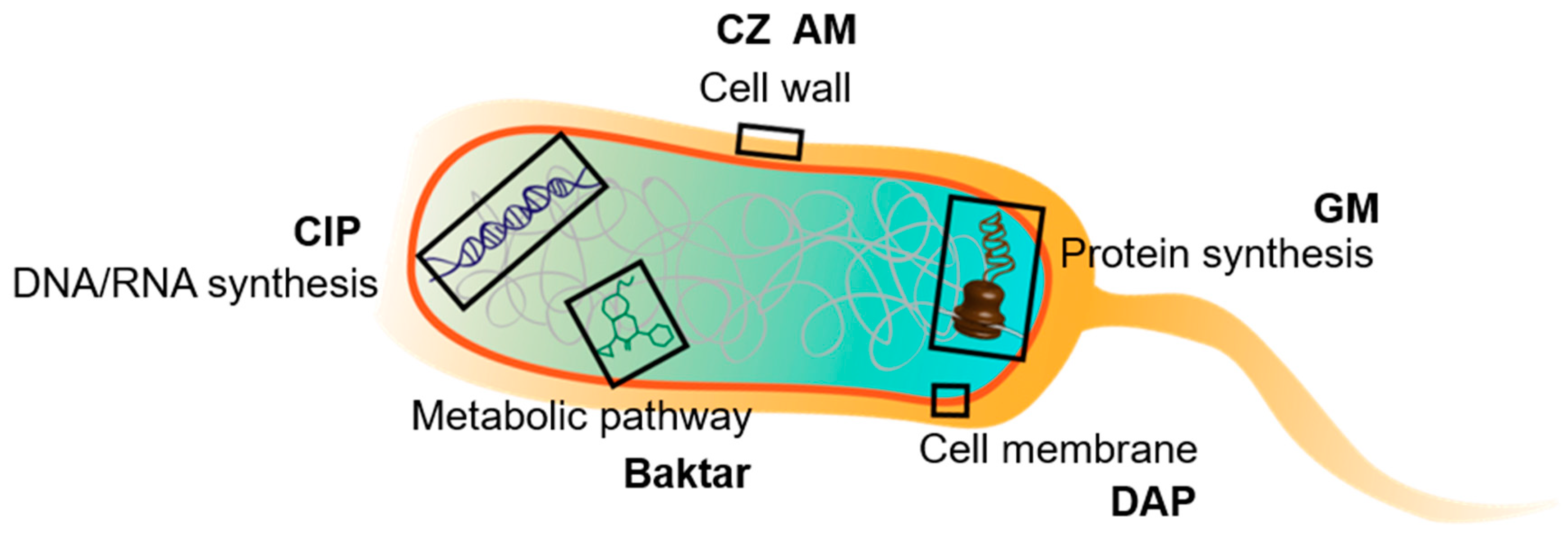 Biosensors 10 00181 g002 Biosensors 10 00181 g002