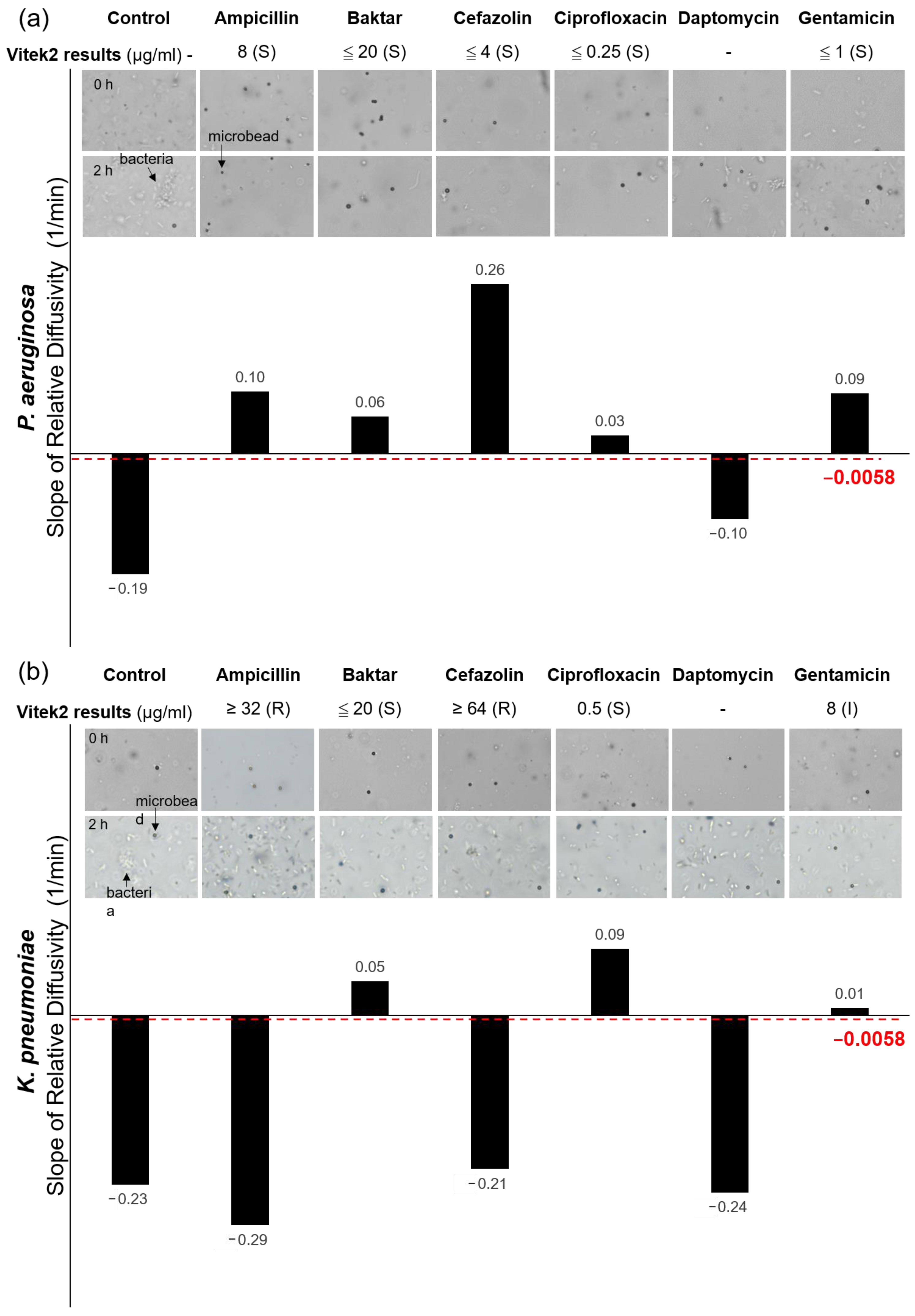 Biosensors 10 00181 g006 Biosensors 10 00181 g006