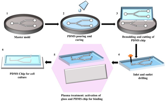 Biosensors 10 00182 g001 550