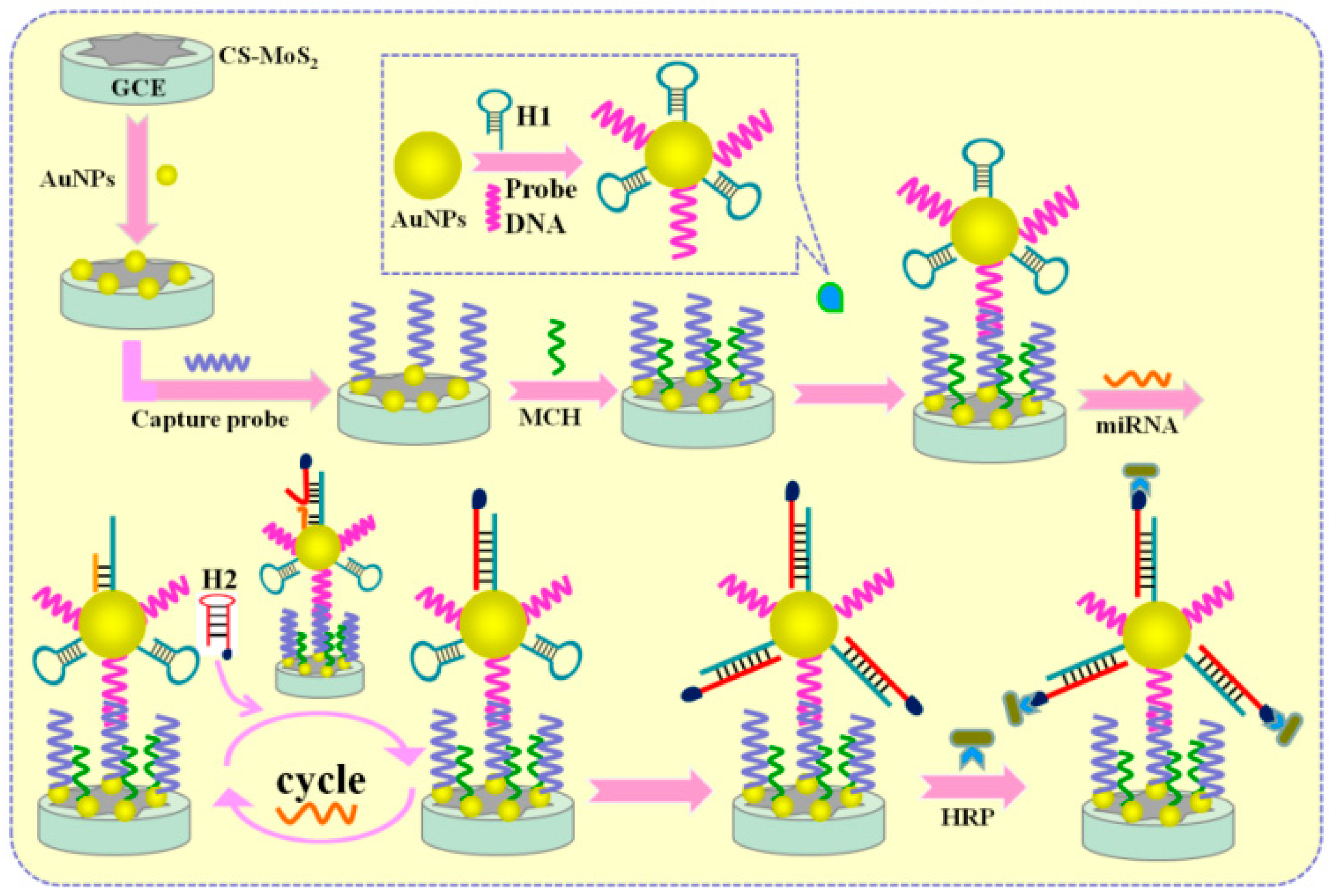 Biosensors 10 00186 g007 Biosensors 10 00186 g007