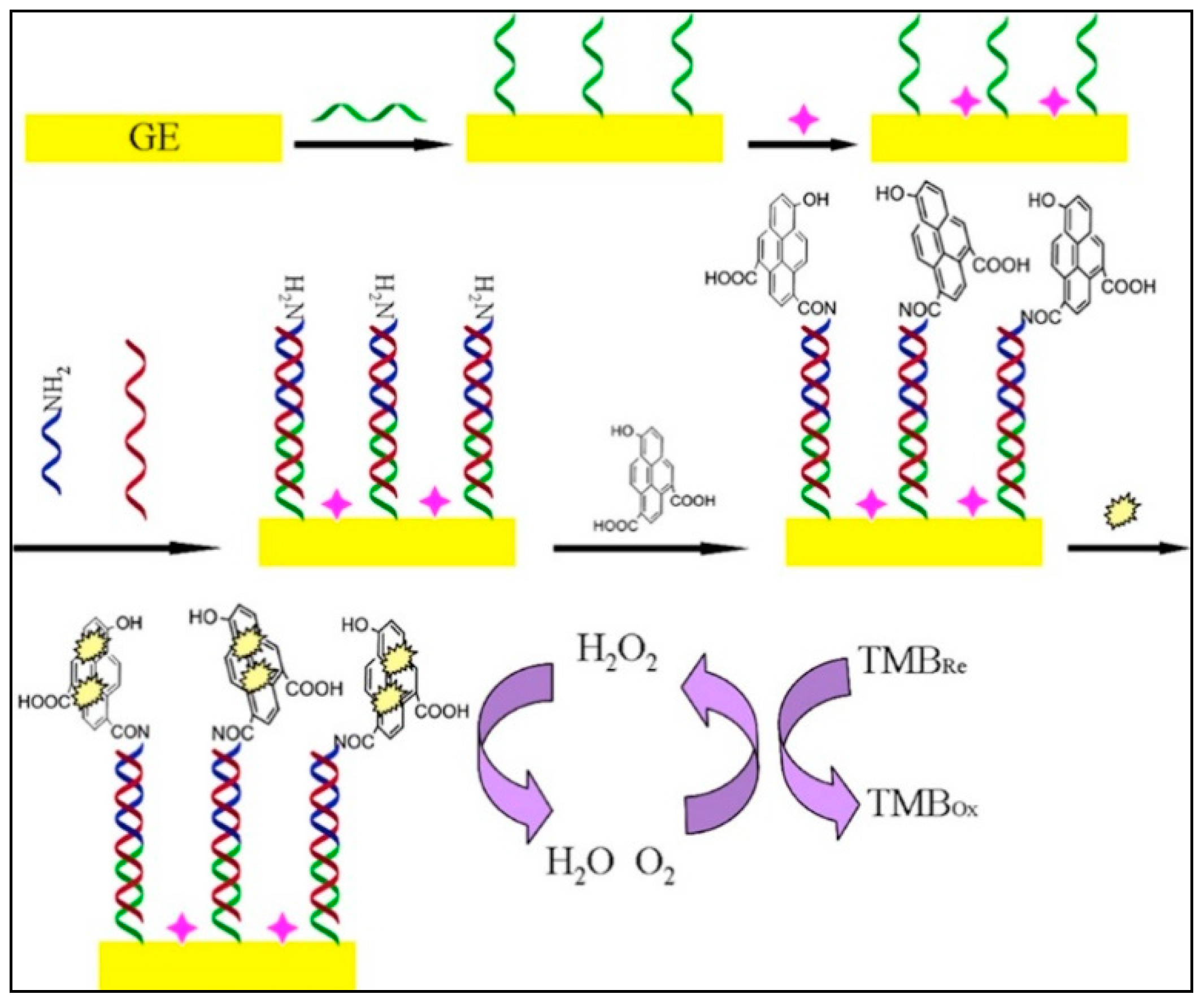 Biosensors 10 00186 g009 Biosensors 10 00186 g009