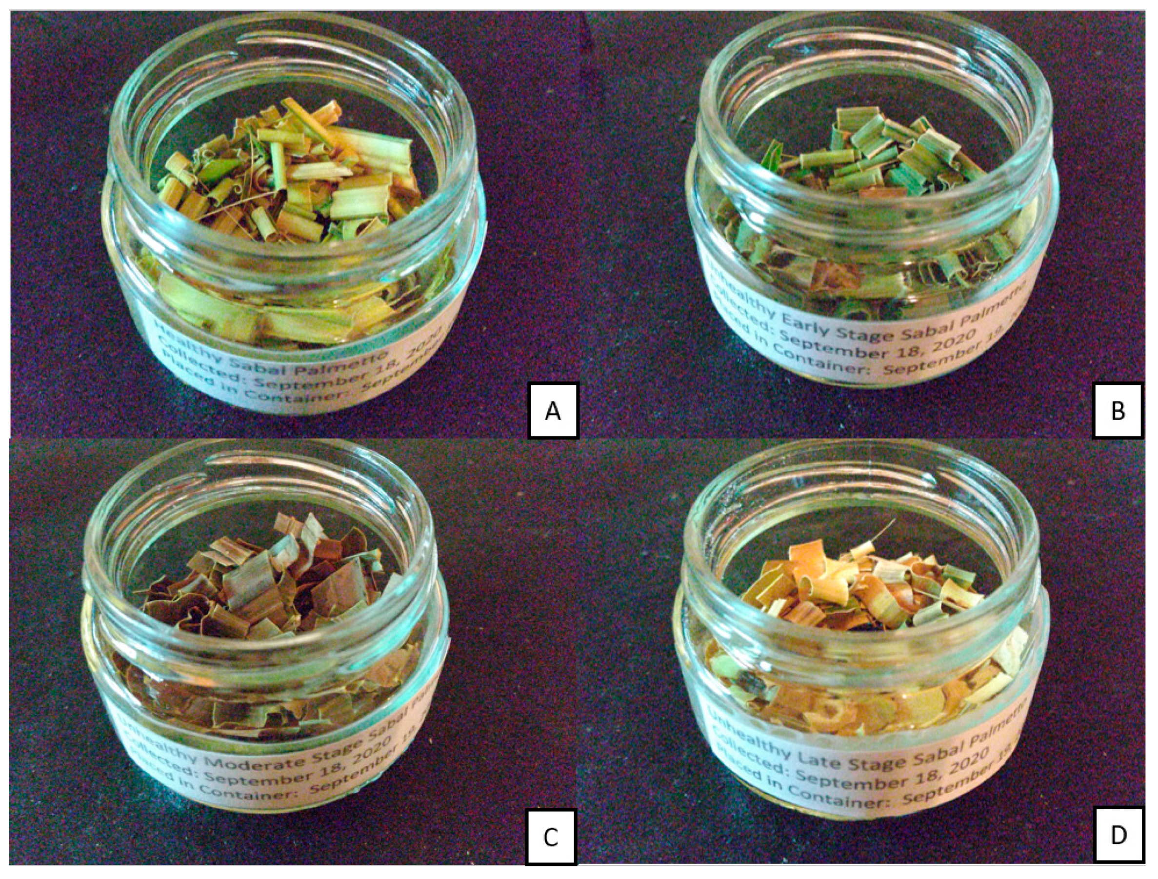 Biosensors 10 00188 g003 Biosensors 10 00188 g003