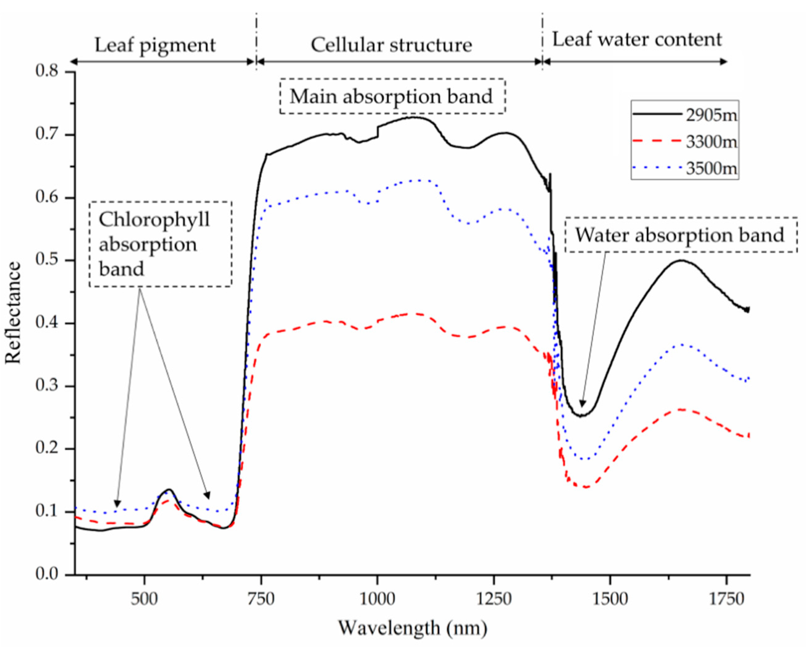 Biosensors 10 00193 g001 Biosensors 10 00193 g001