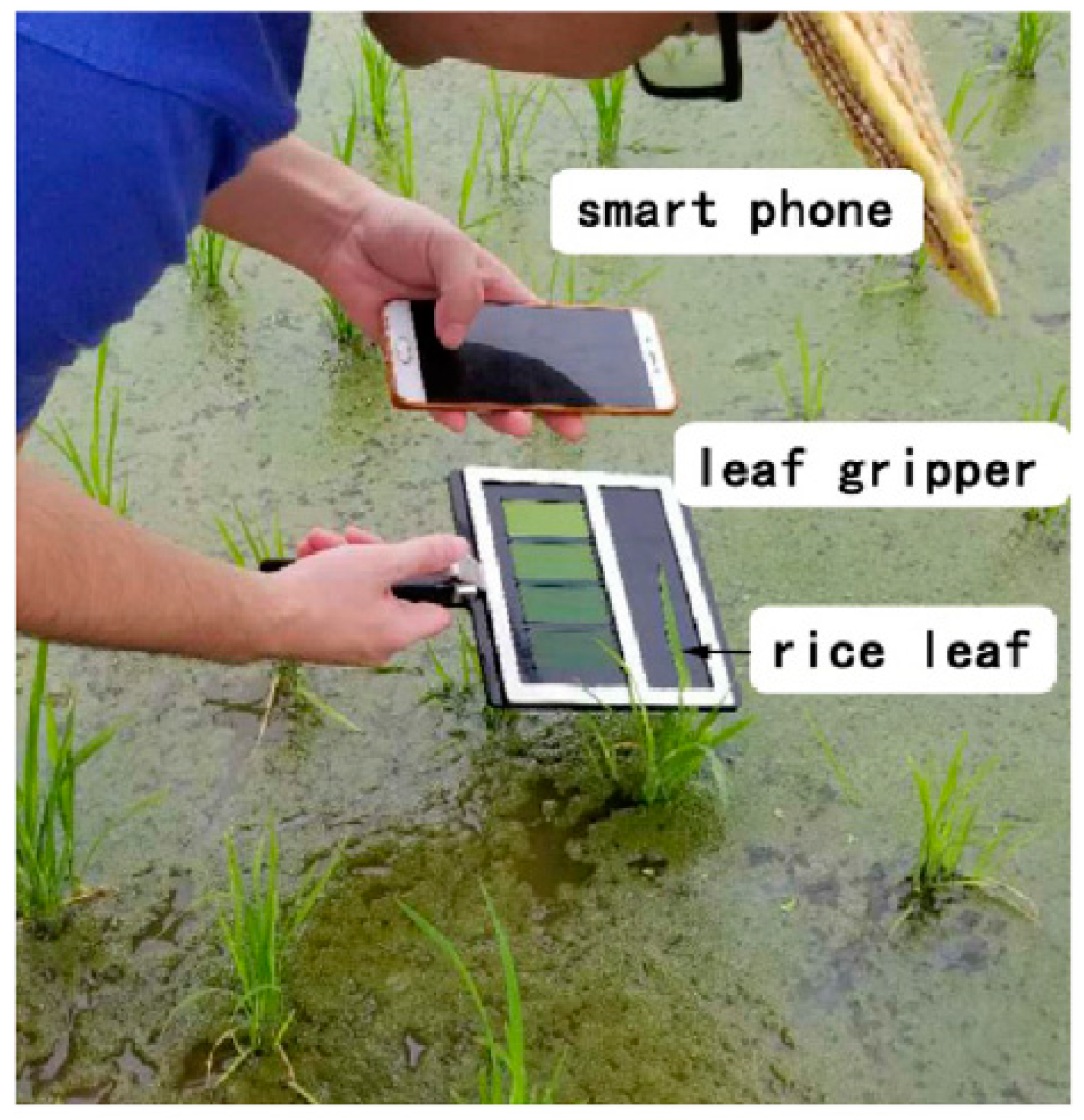 Biosensors 10 00193 g005 Biosensors 10 00193 g005