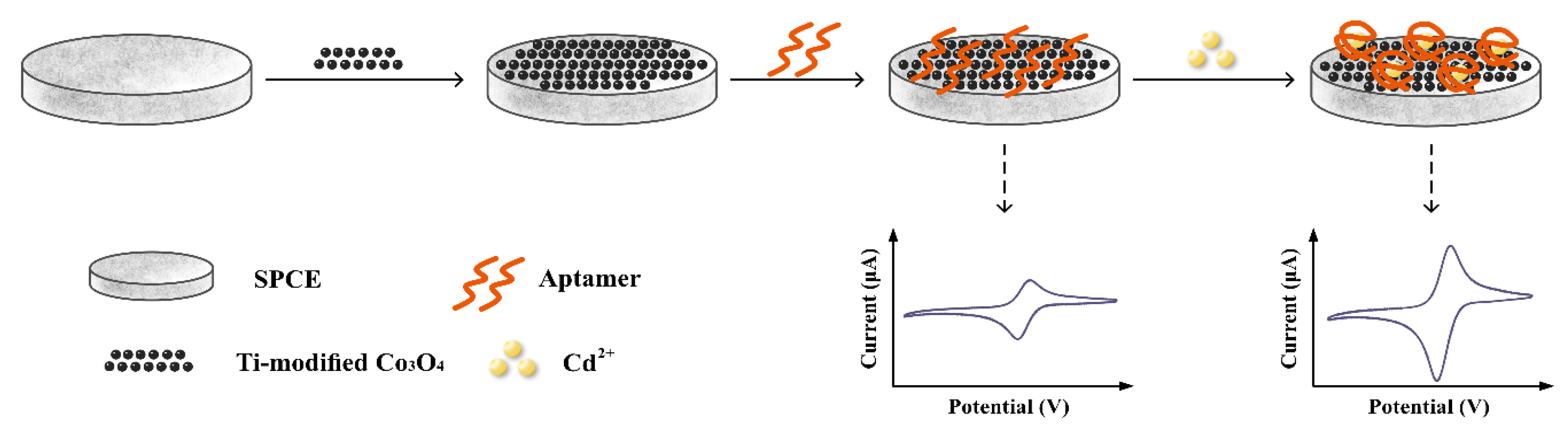 Biosensors 10 00195 sch001 Biosensors 10 00195 sch001