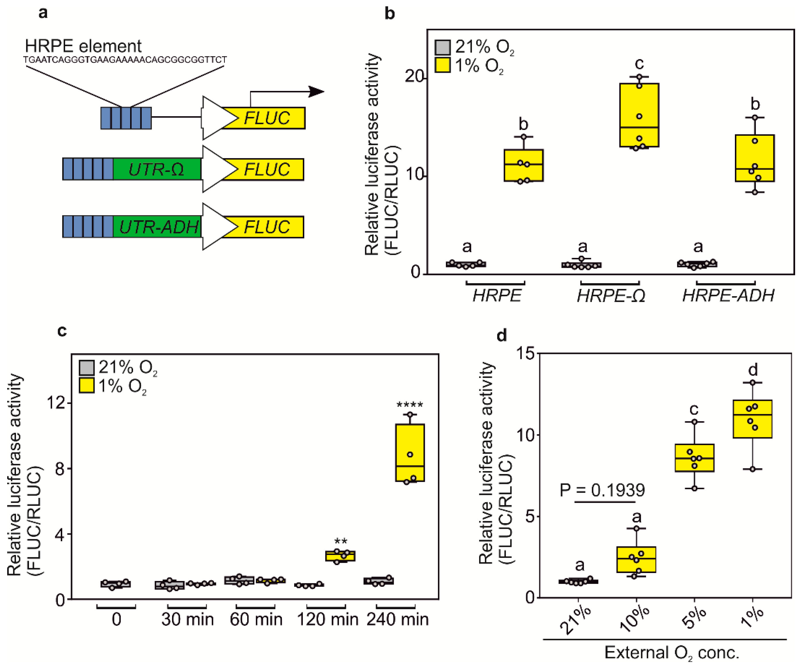Biosensors 10 00197 g001 Biosensors 10 00197 g001